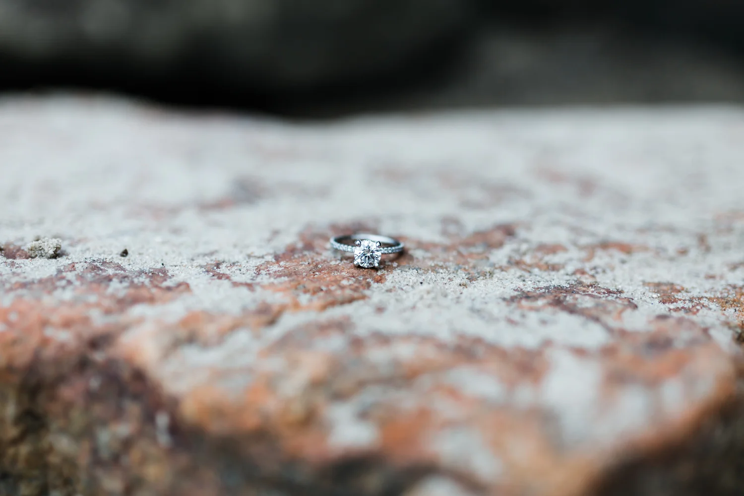 bayside engagement session in Annapolis - solitaire engagement ring with side accents