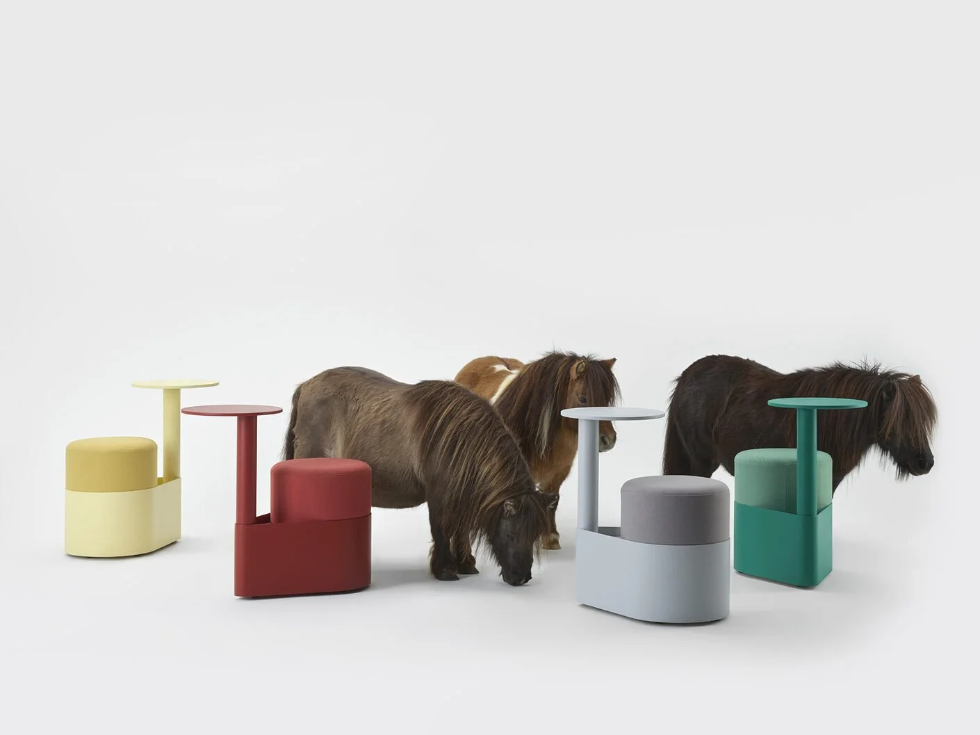 RelvãoKellermann for gumpo: "pony"