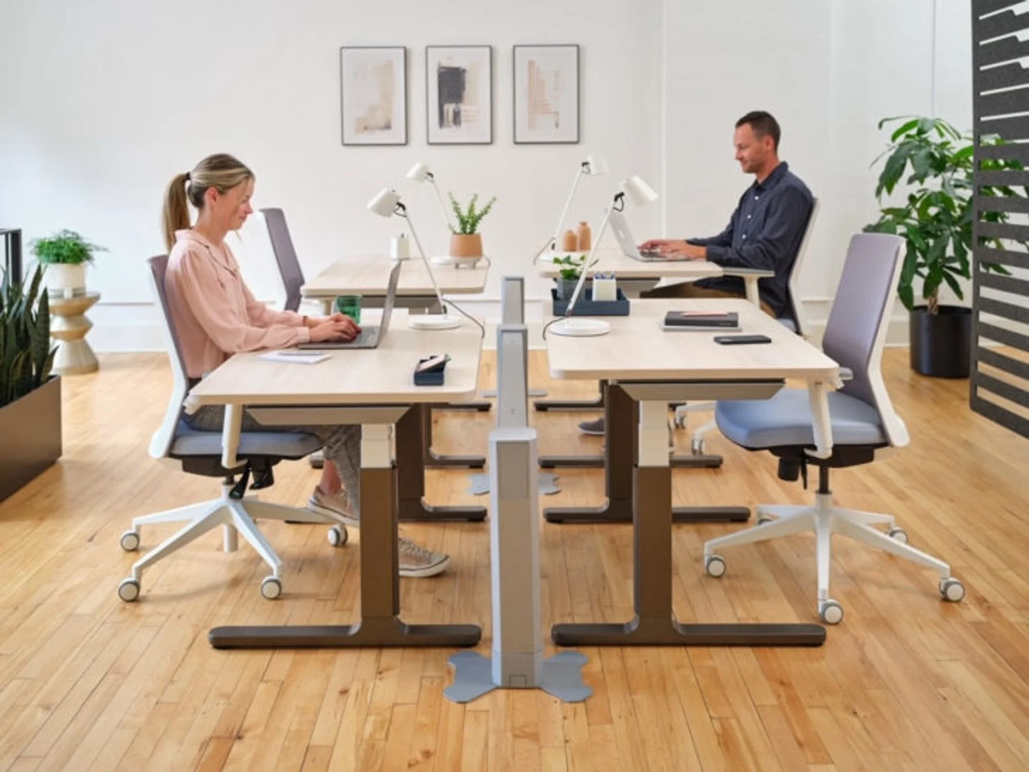 AMQ Introduces Cluvo, a Height-Adjustable Desk That Hits the Mark on Style and Price