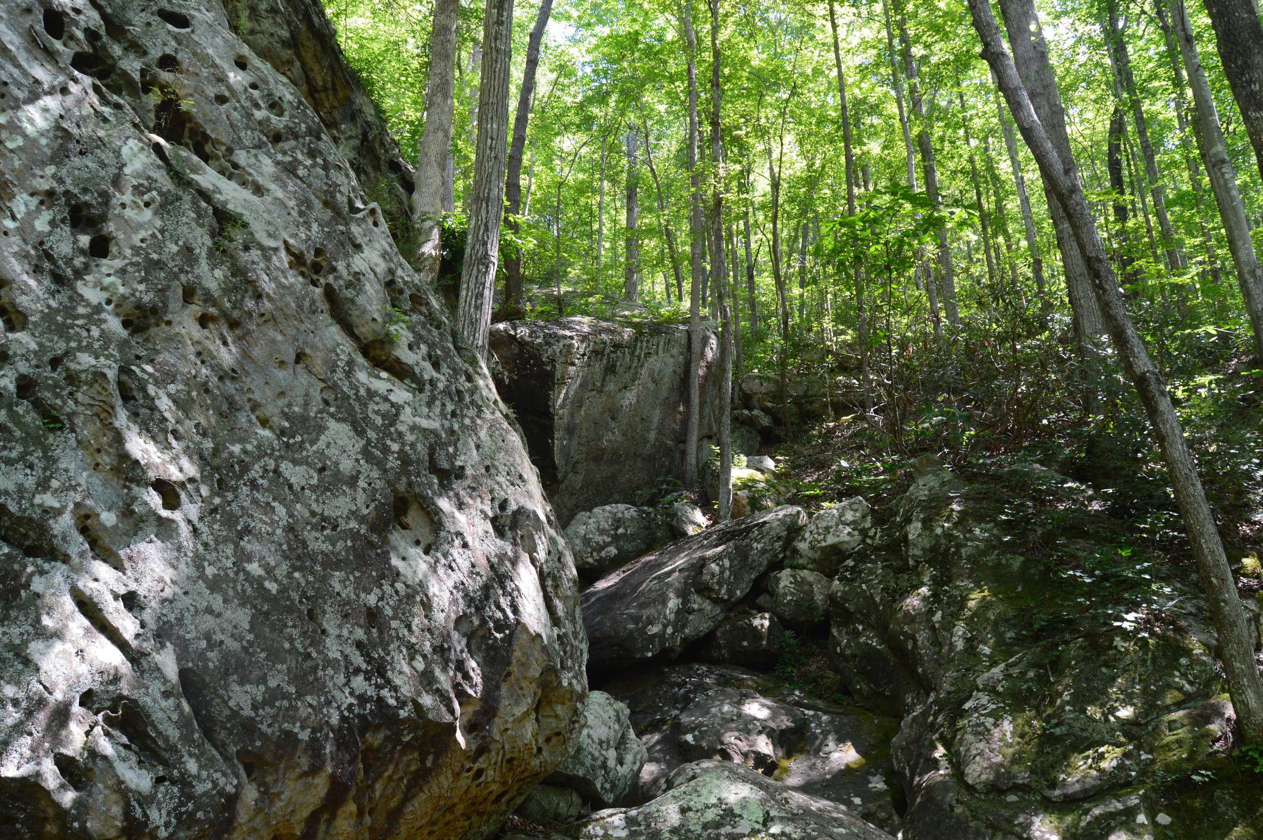 As the Big South Fork of the Cumberland River carved out the deep gorge surrounding it today, remnants of that process line the trail to the O&W bridge.