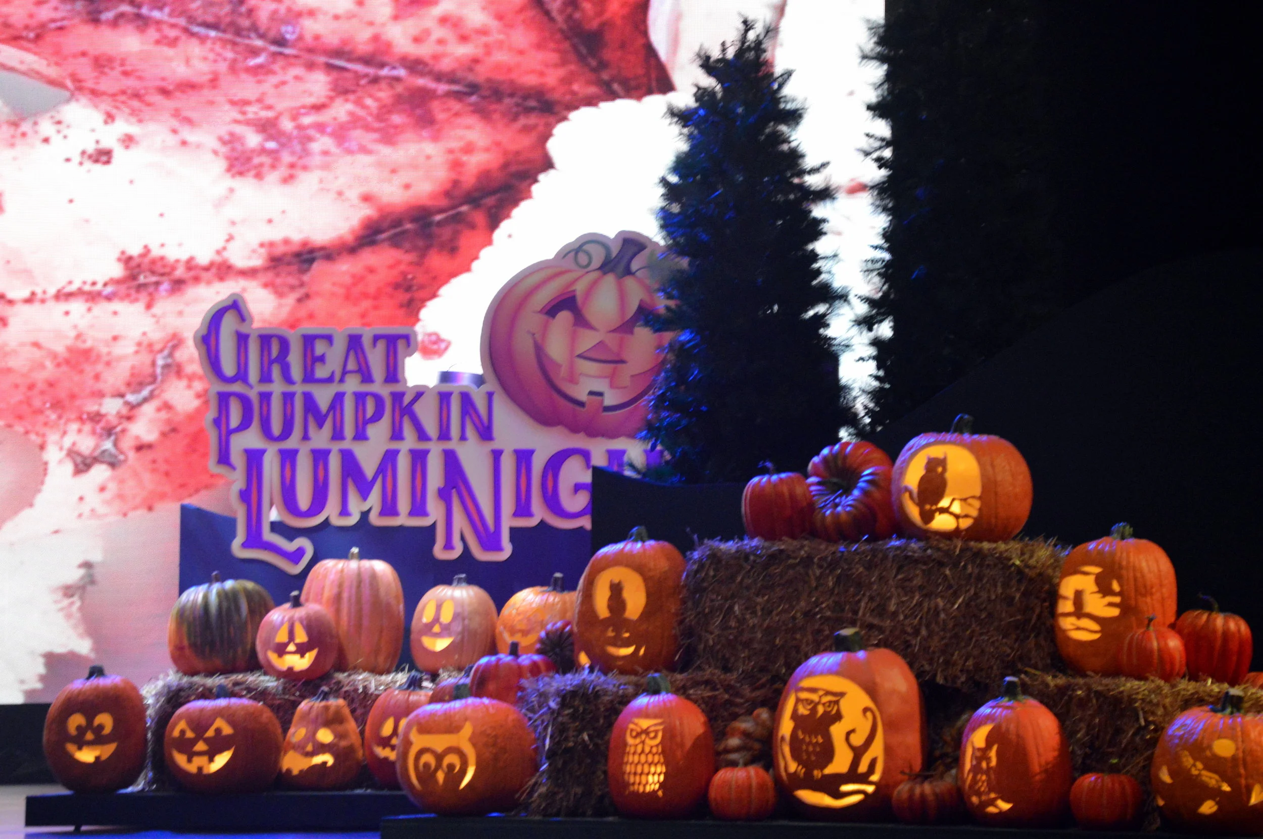The nights at Dollywood light up this fall