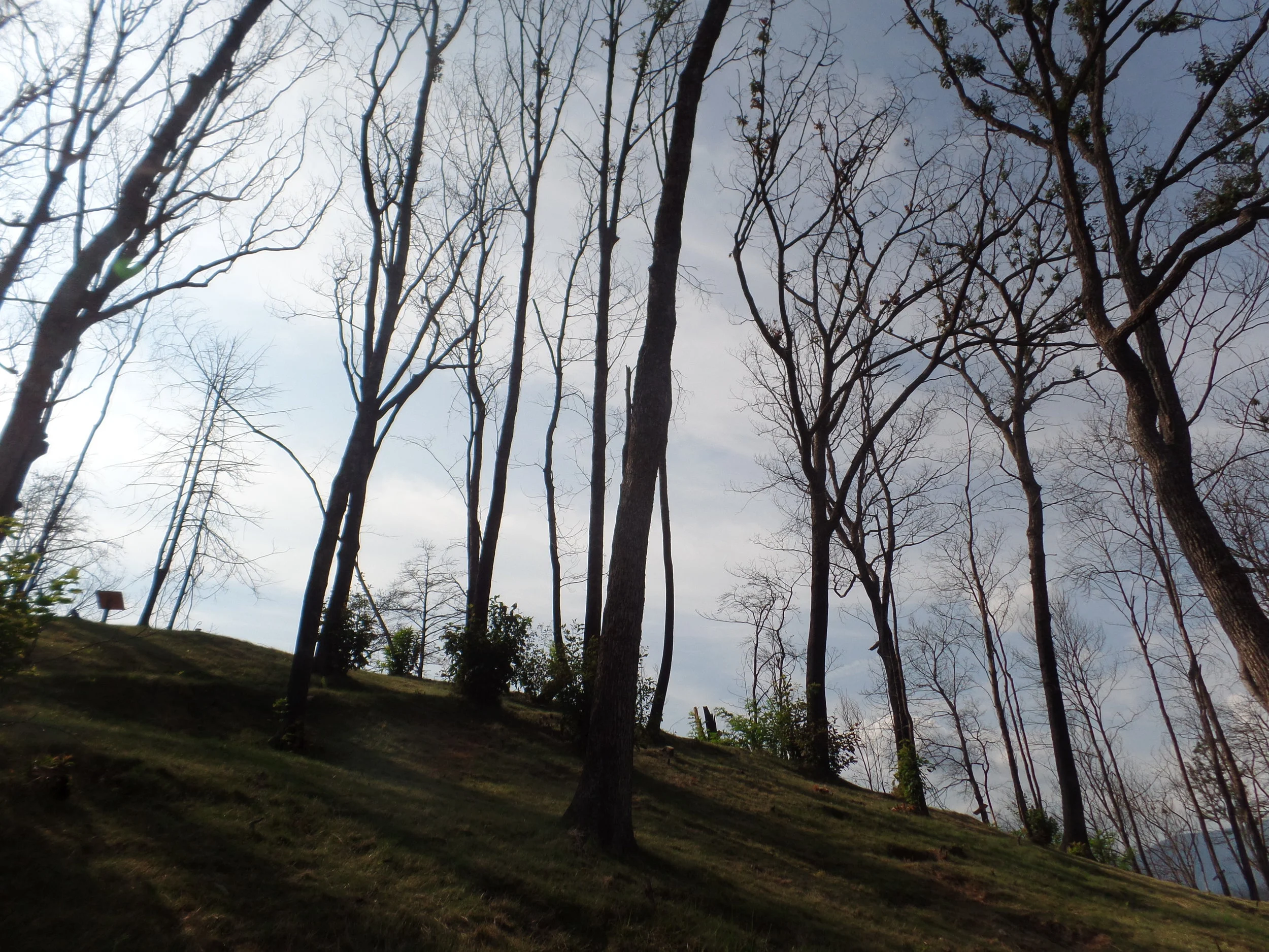 A walk to remember at Anakeesta