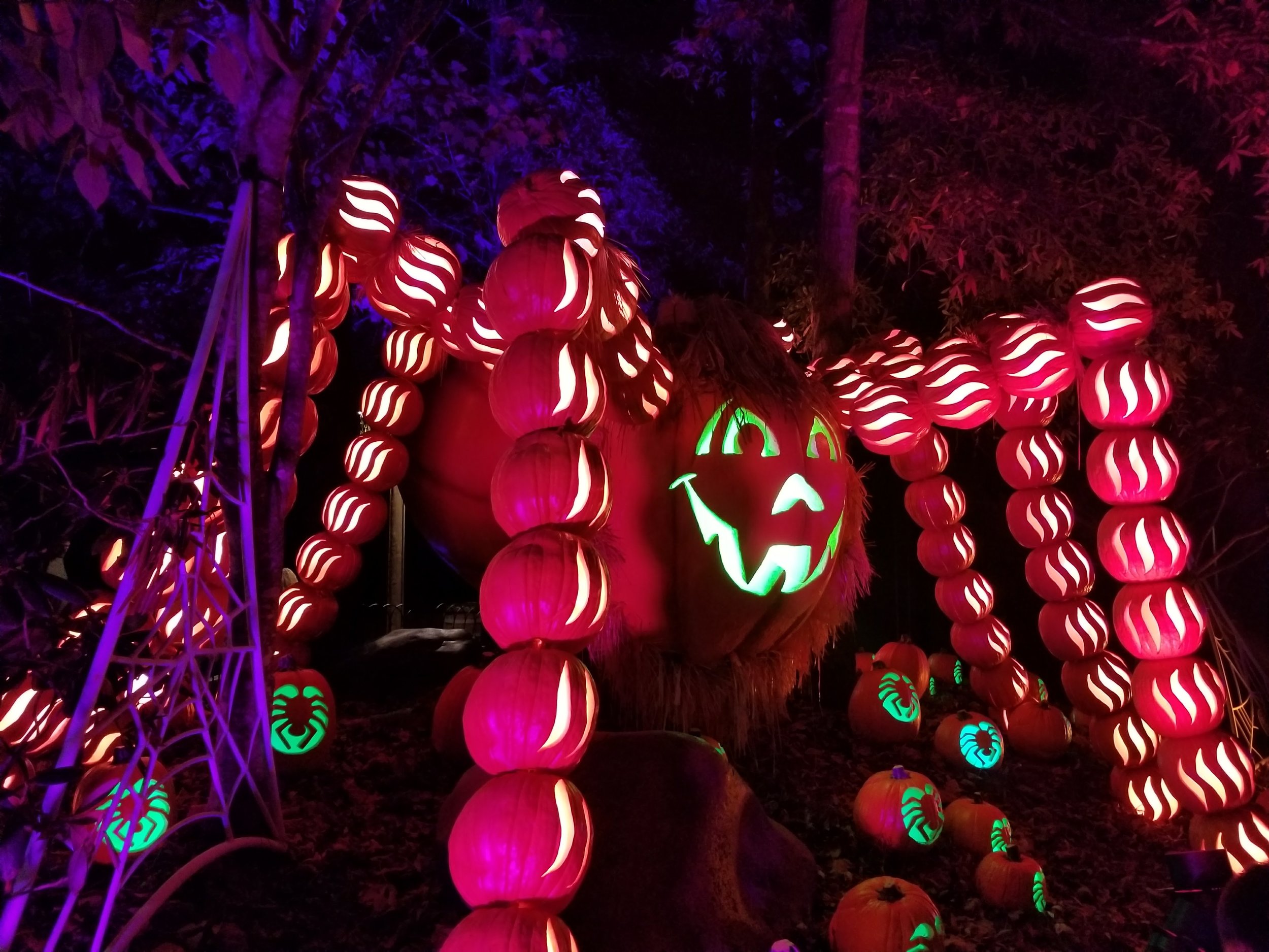 20171012_214158.jpg