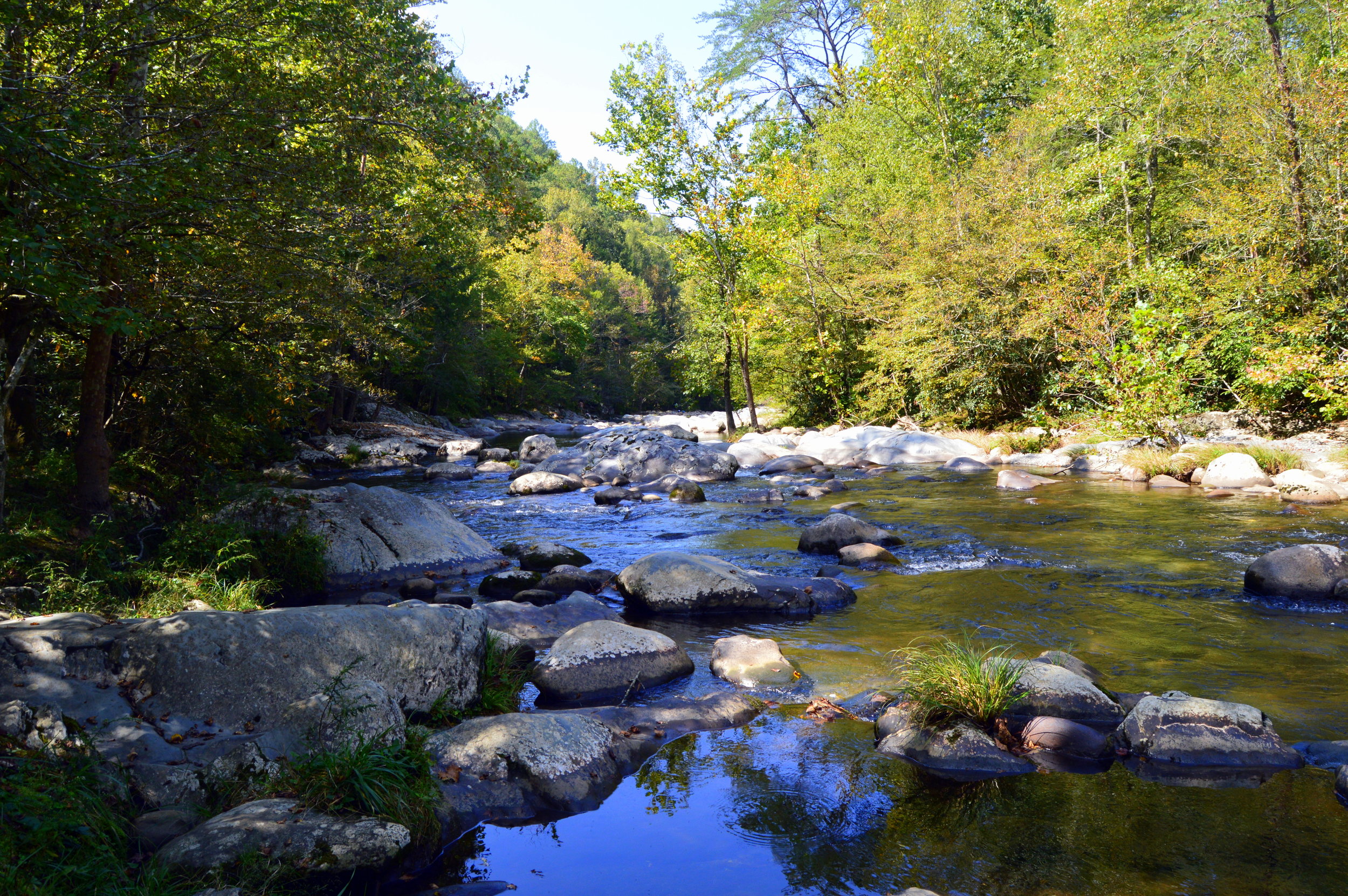 Greenbrier in the Great Smoky Mountains — knoxroadtripper
