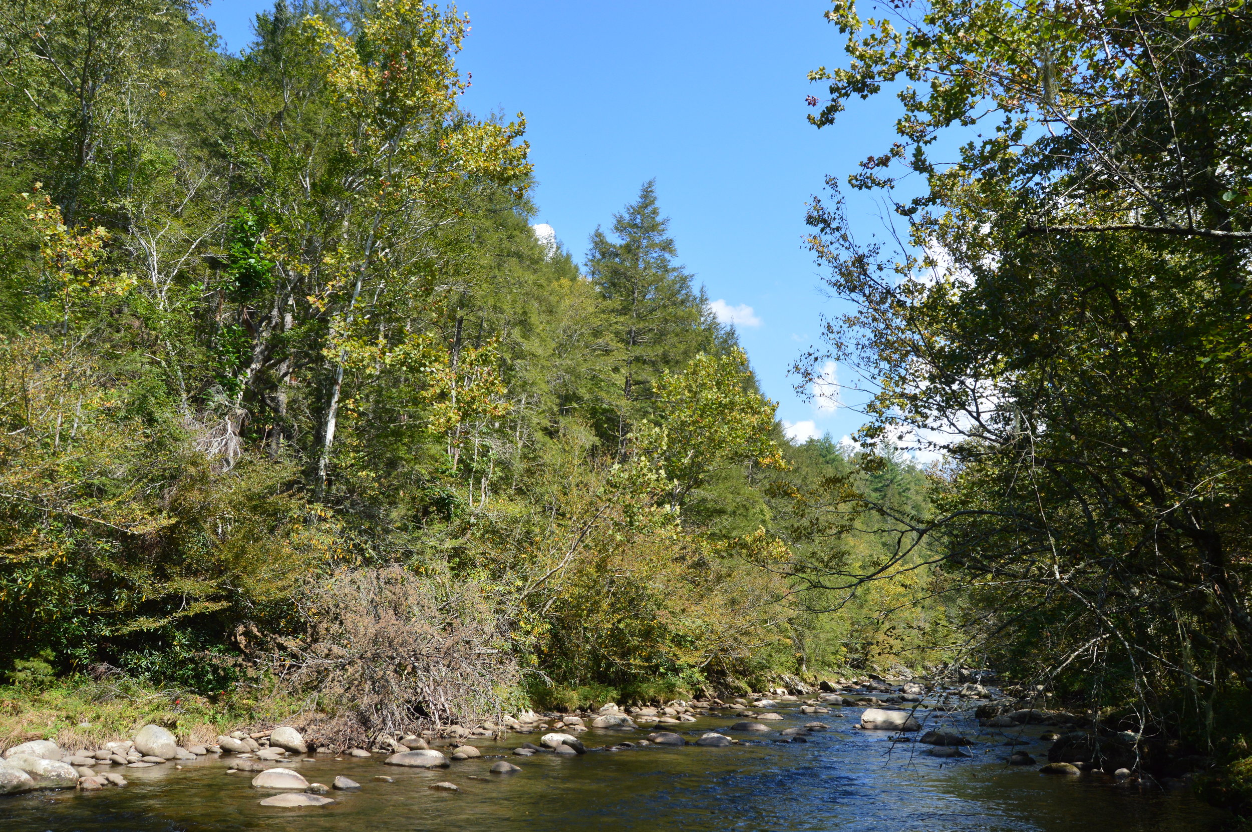 Greenbrier Great Smoky Mountains National Park