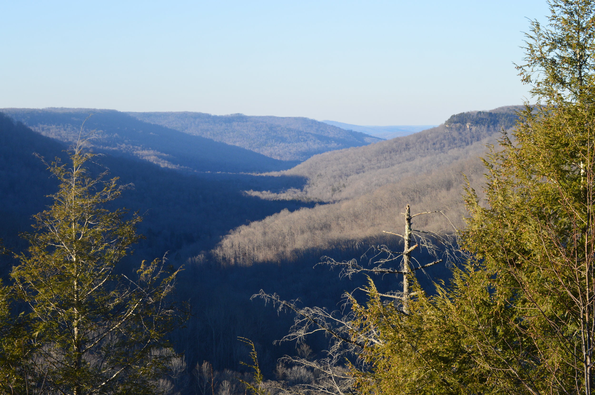  The "gulf" at Fall Creek Falls State Park is a seemingly endless expanse of wilderness, easily seen from overlooks along the park's scenic drive.&nbsp; 