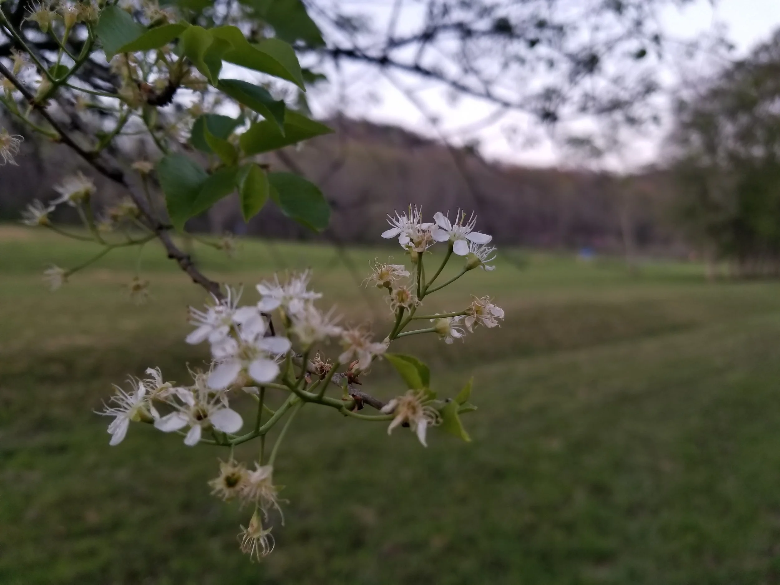 20180412_200851.jpg