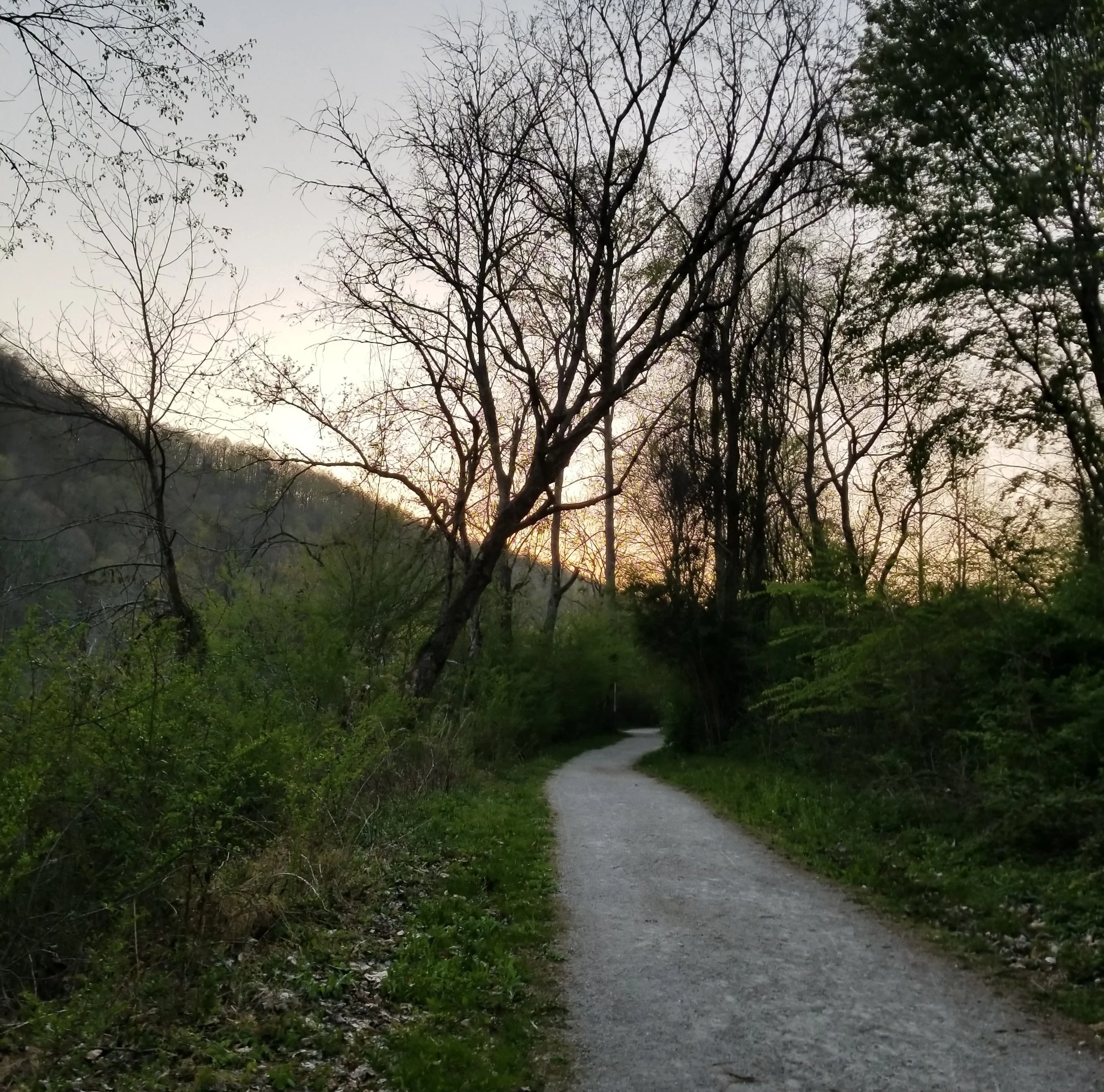 The Songbird Trail at Norris Dam State Park.