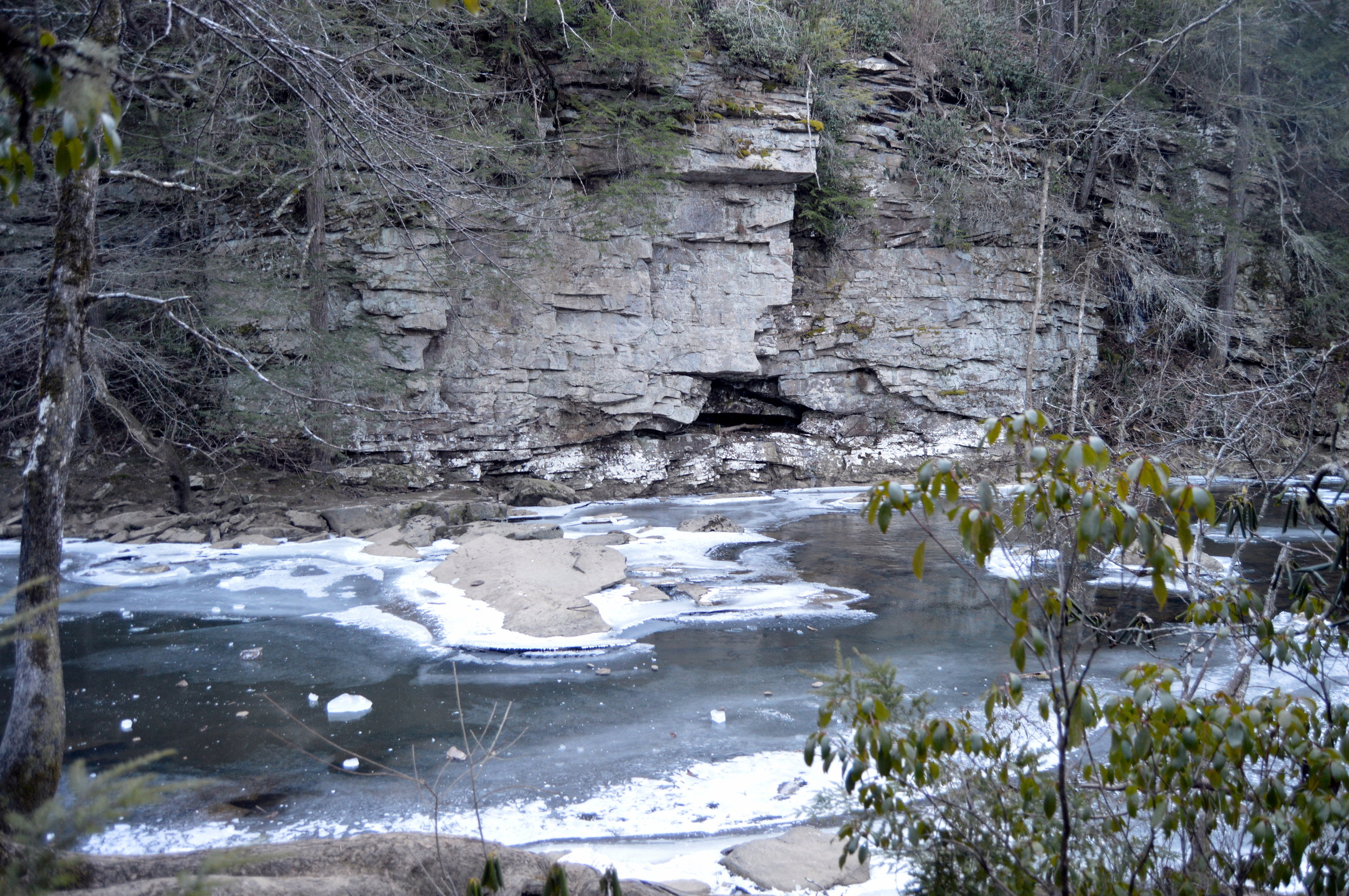  The area just above Cane Creek Cascades at Fall Creek Falls State Park. (January 2018) 