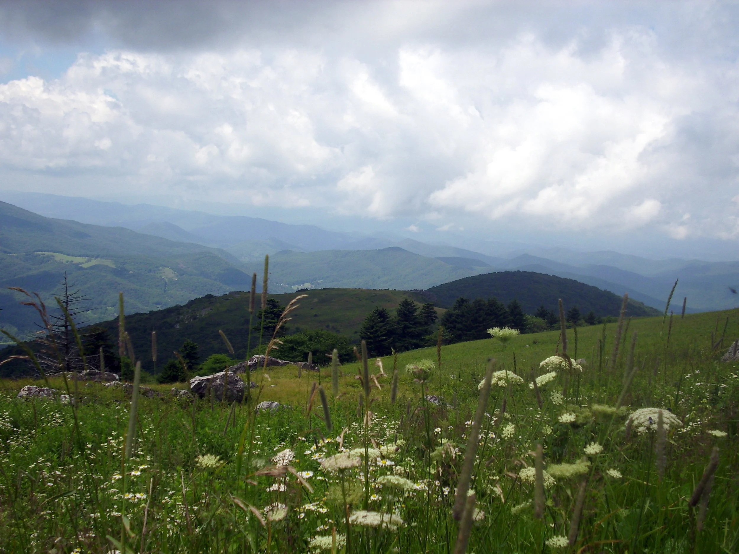 Whitetop Mountain