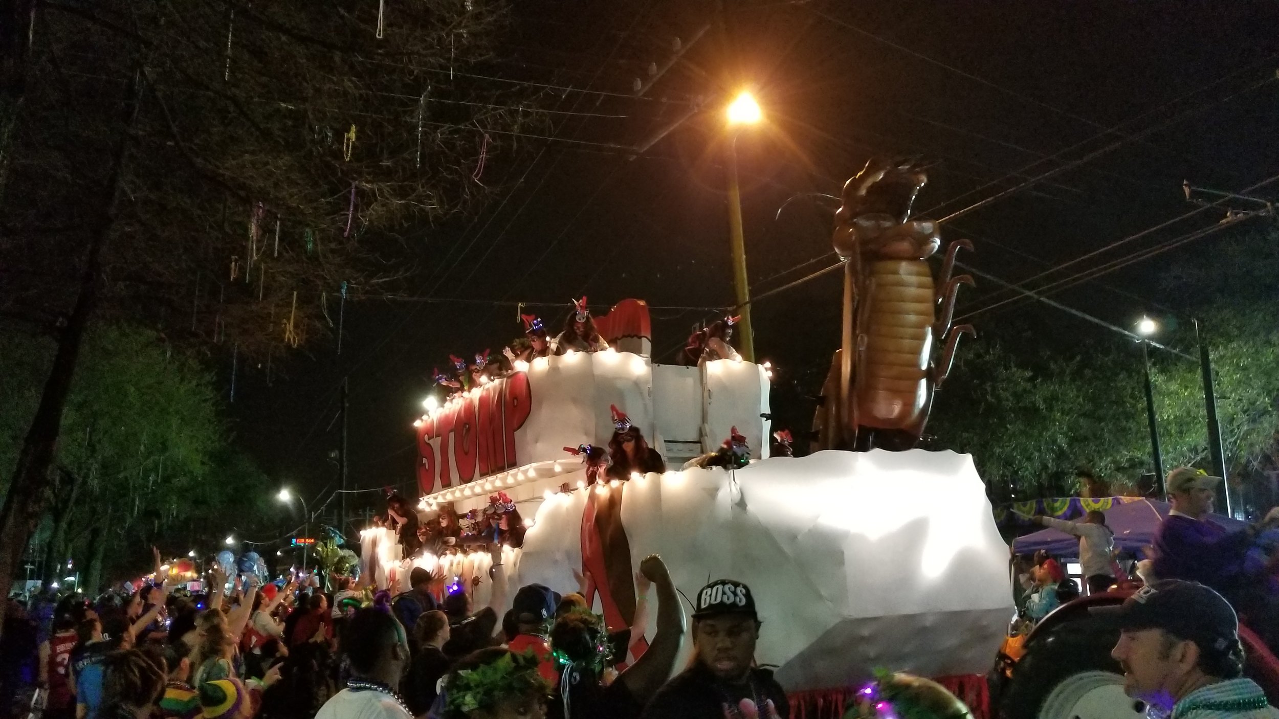 Krewe of Muses