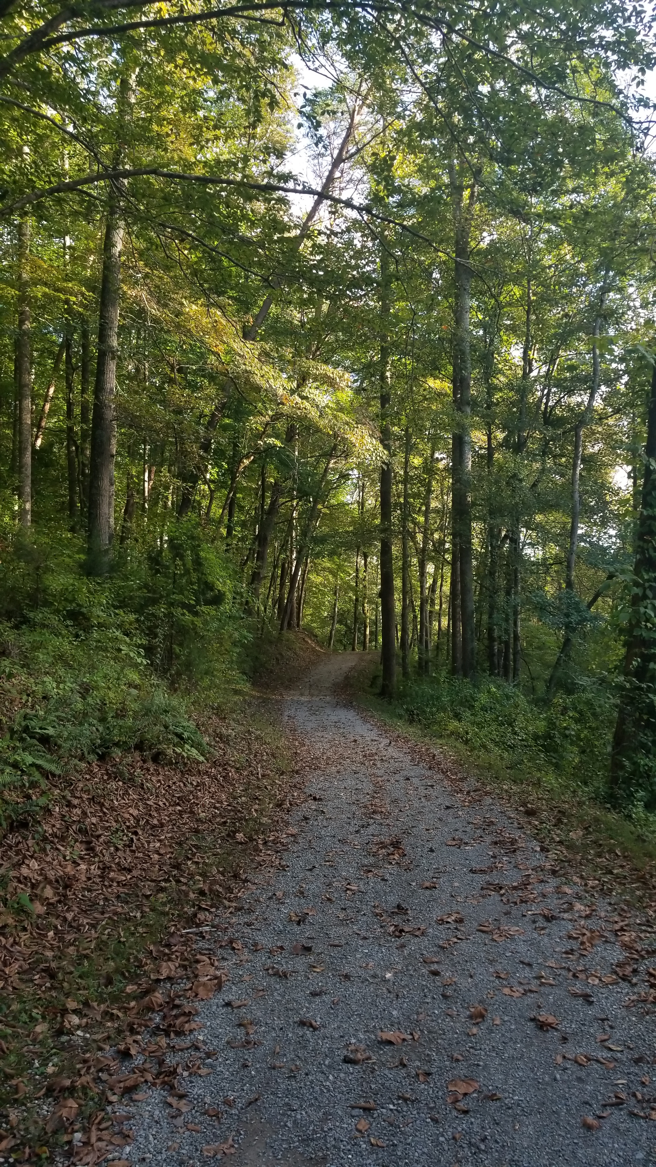 Trails at U.T. Arboretum