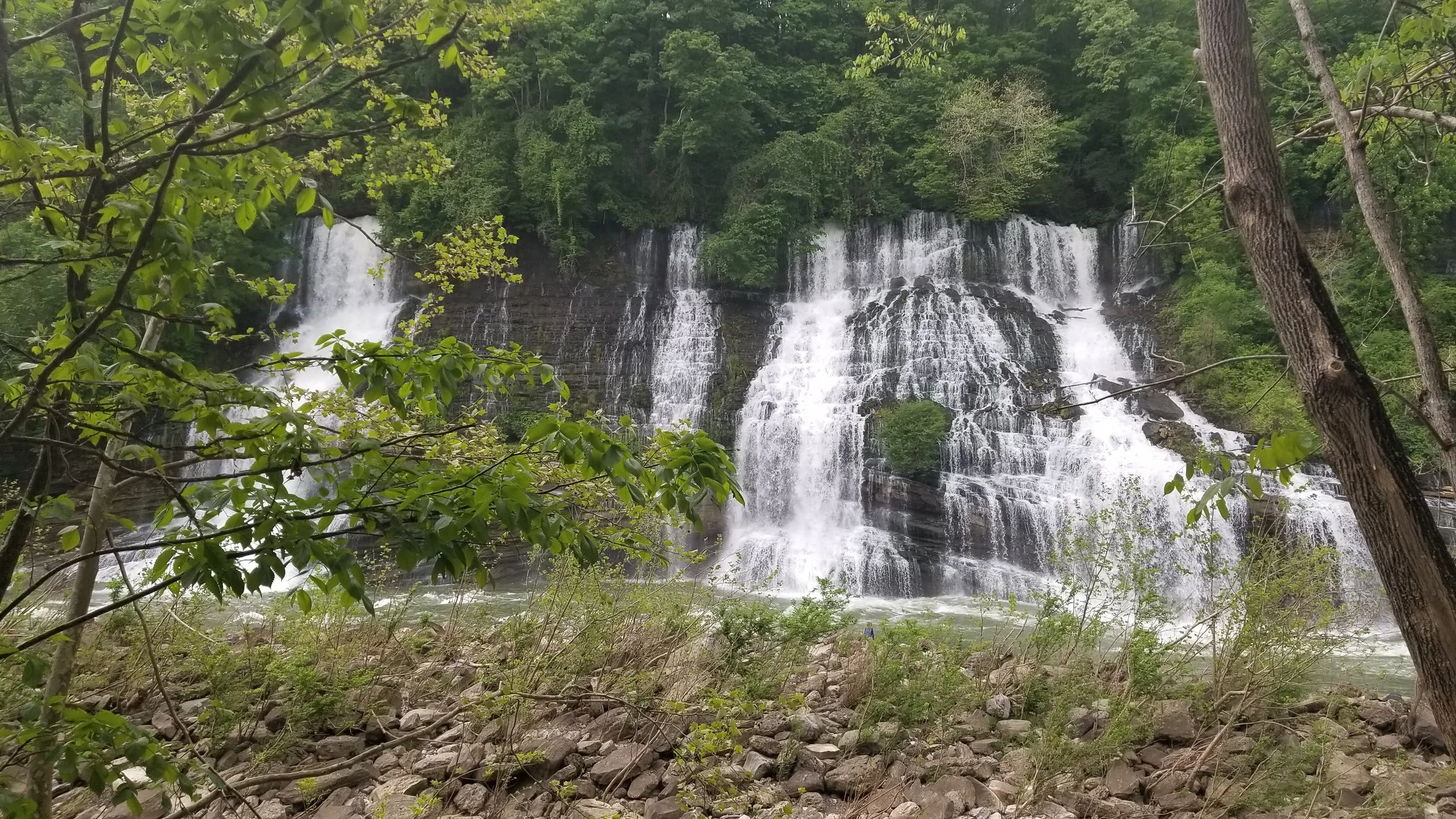 Twin Falls
