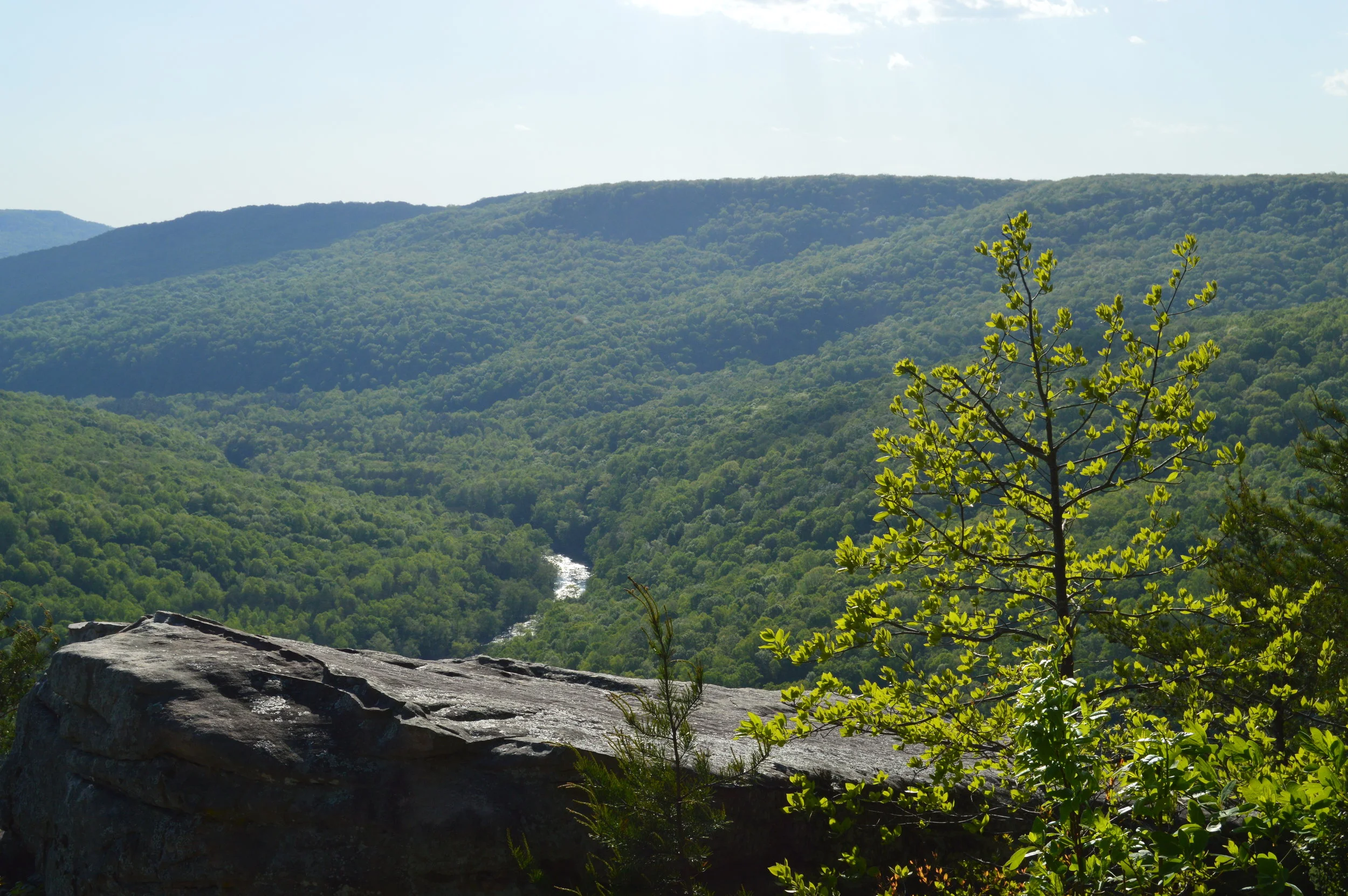 Sparta, Tennessee