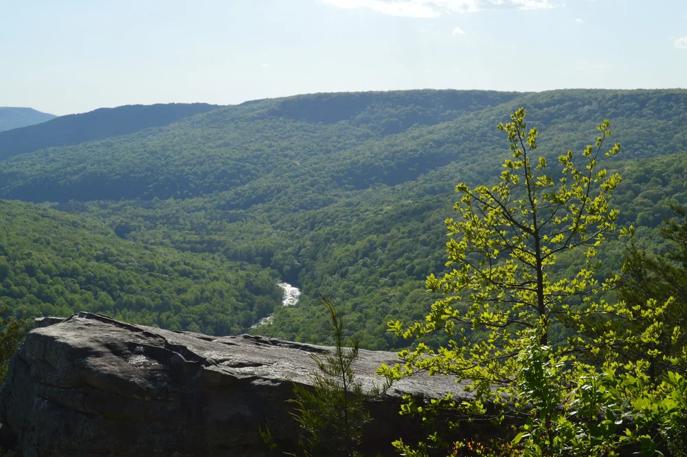 Things to do in Sparta, Tennessee — knoxroadtripper