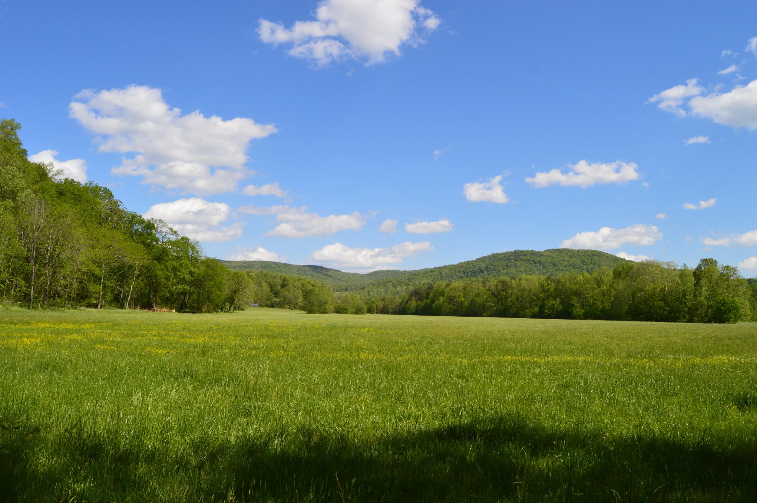 Things to do in Sparta, Tennessee — knoxroadtripper