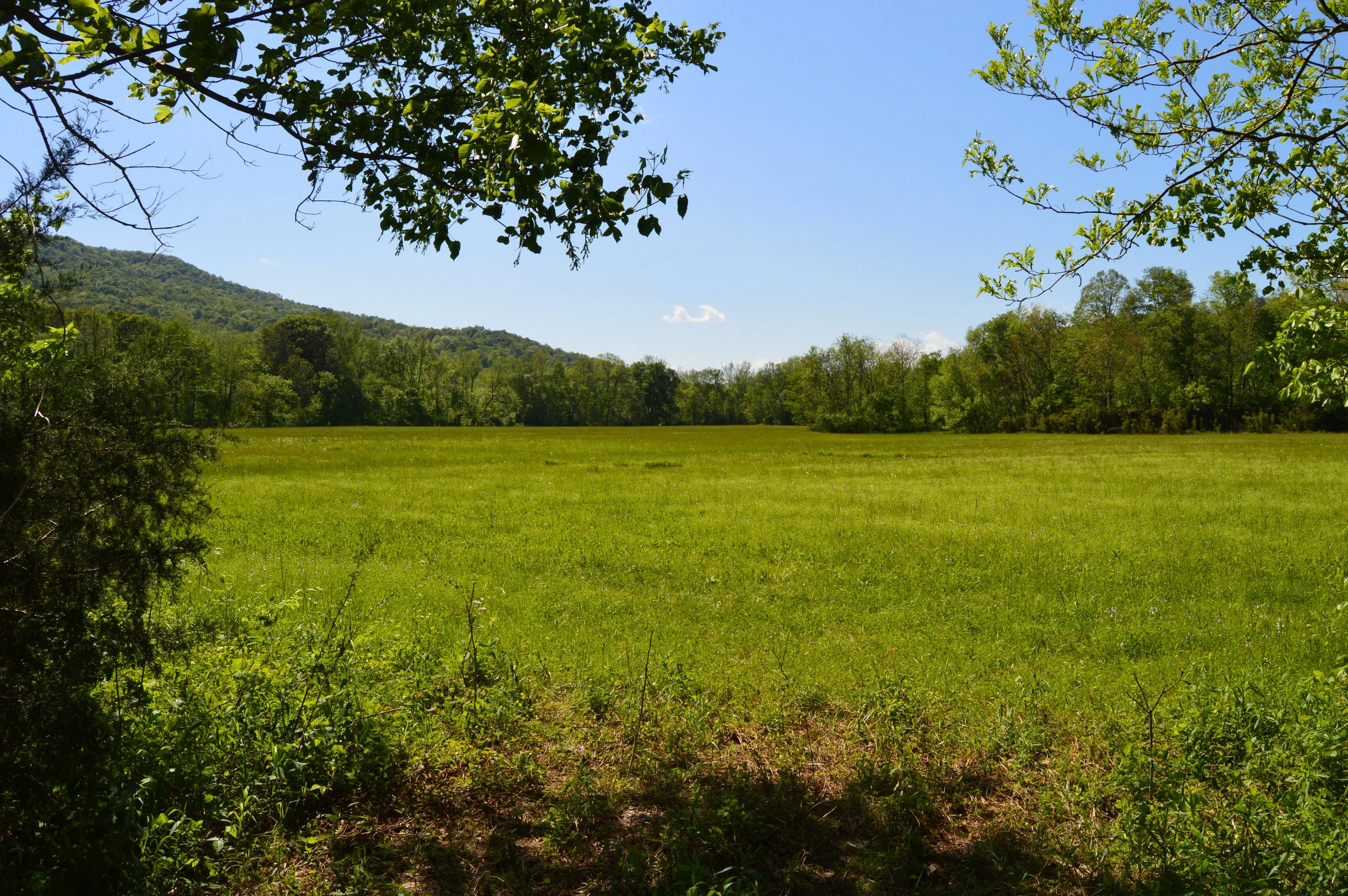 Things to do in Sparta, Tennessee — knoxroadtripper