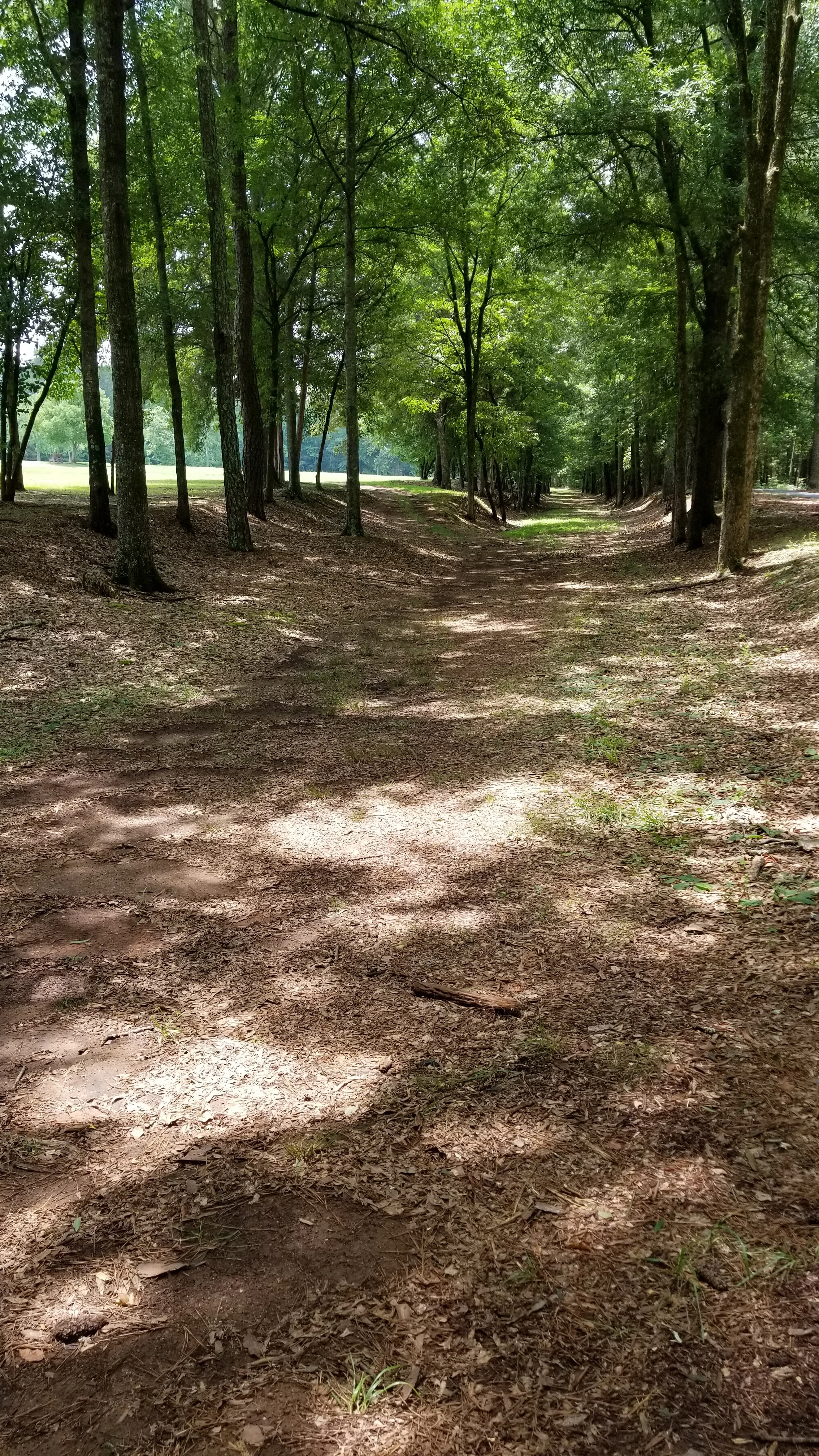 Island Ford Road at Ninety-Six Historical Site