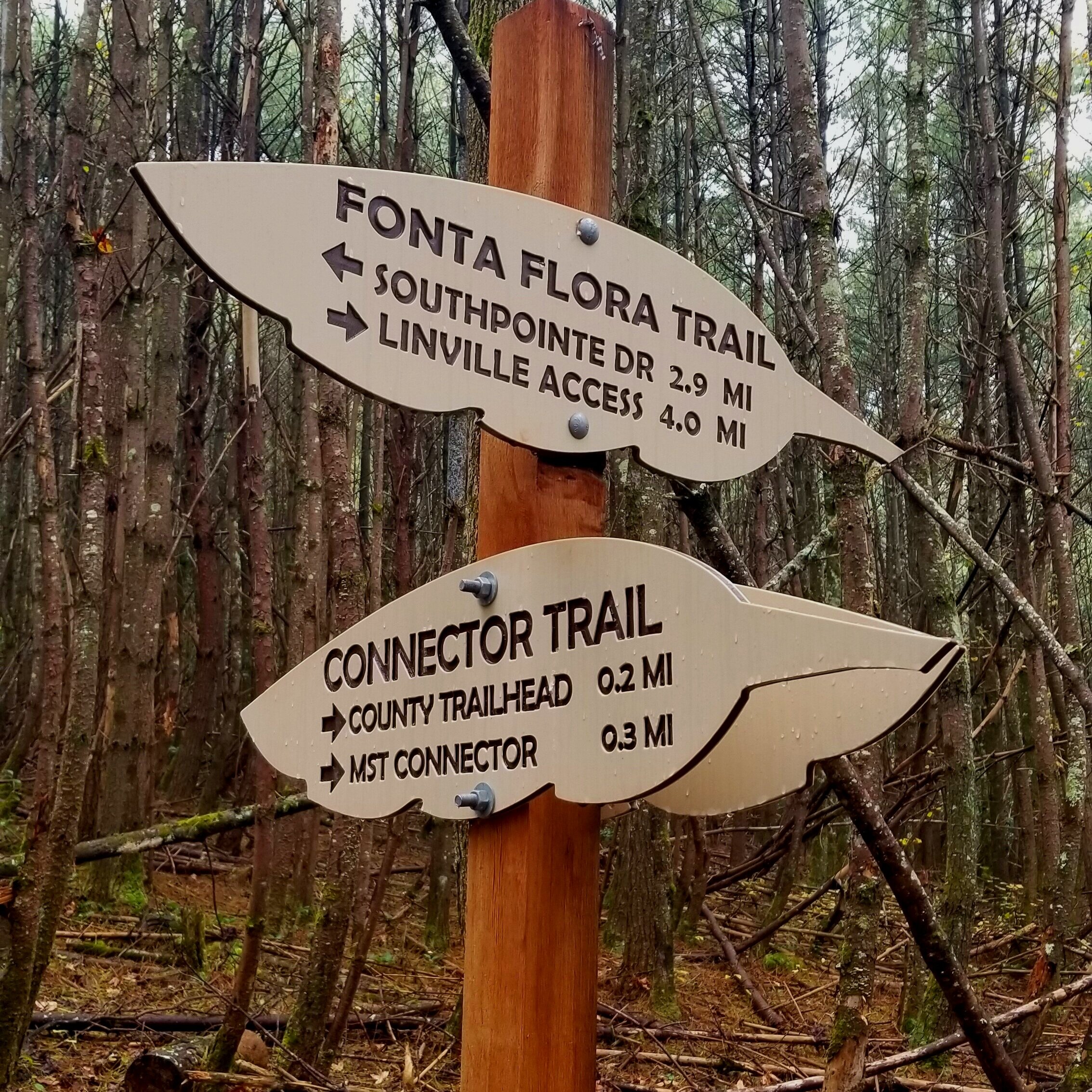 Fonta Flora Trail Burke County North Carolina