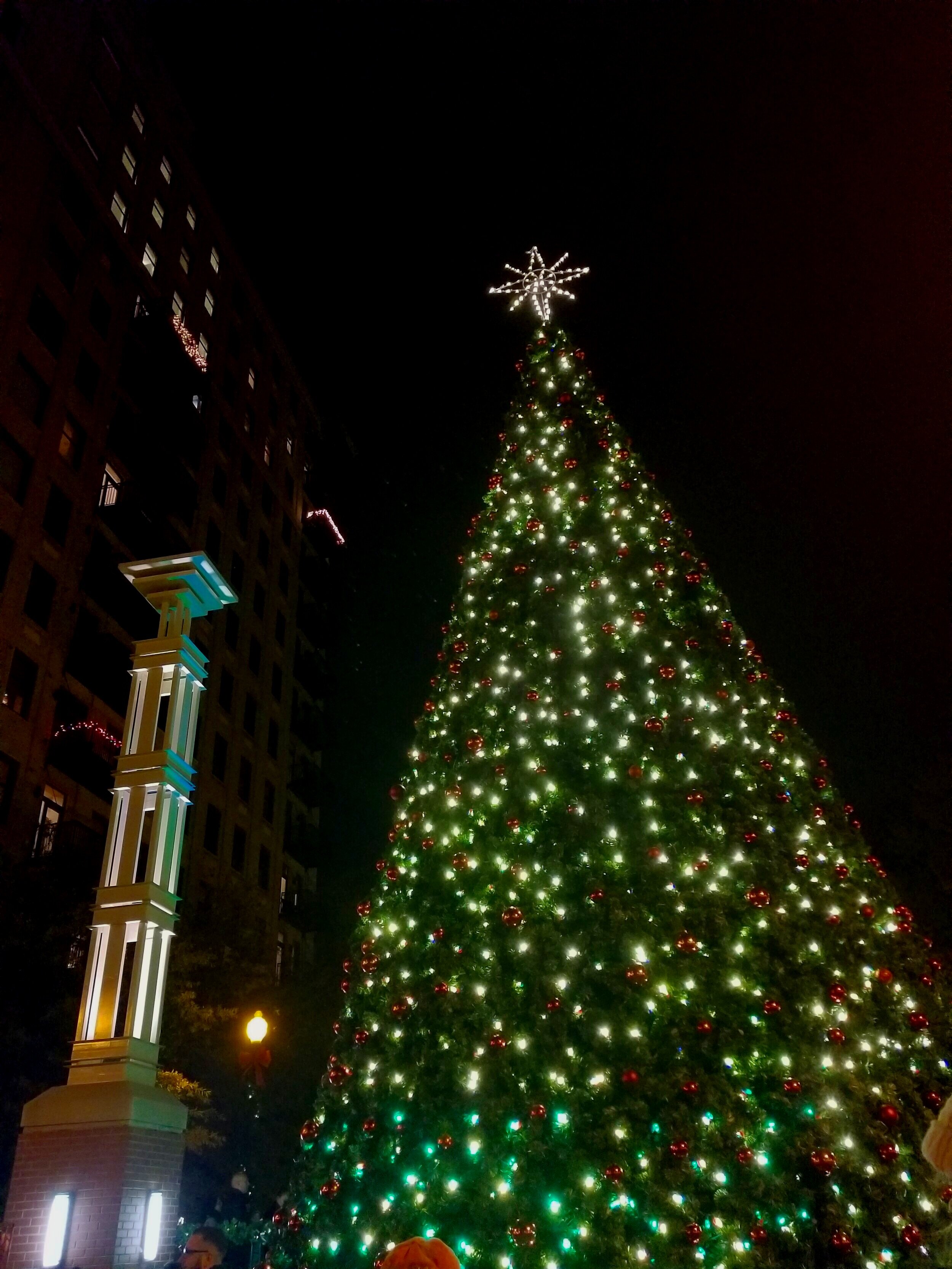Downtown Knoxville Christmas Tree