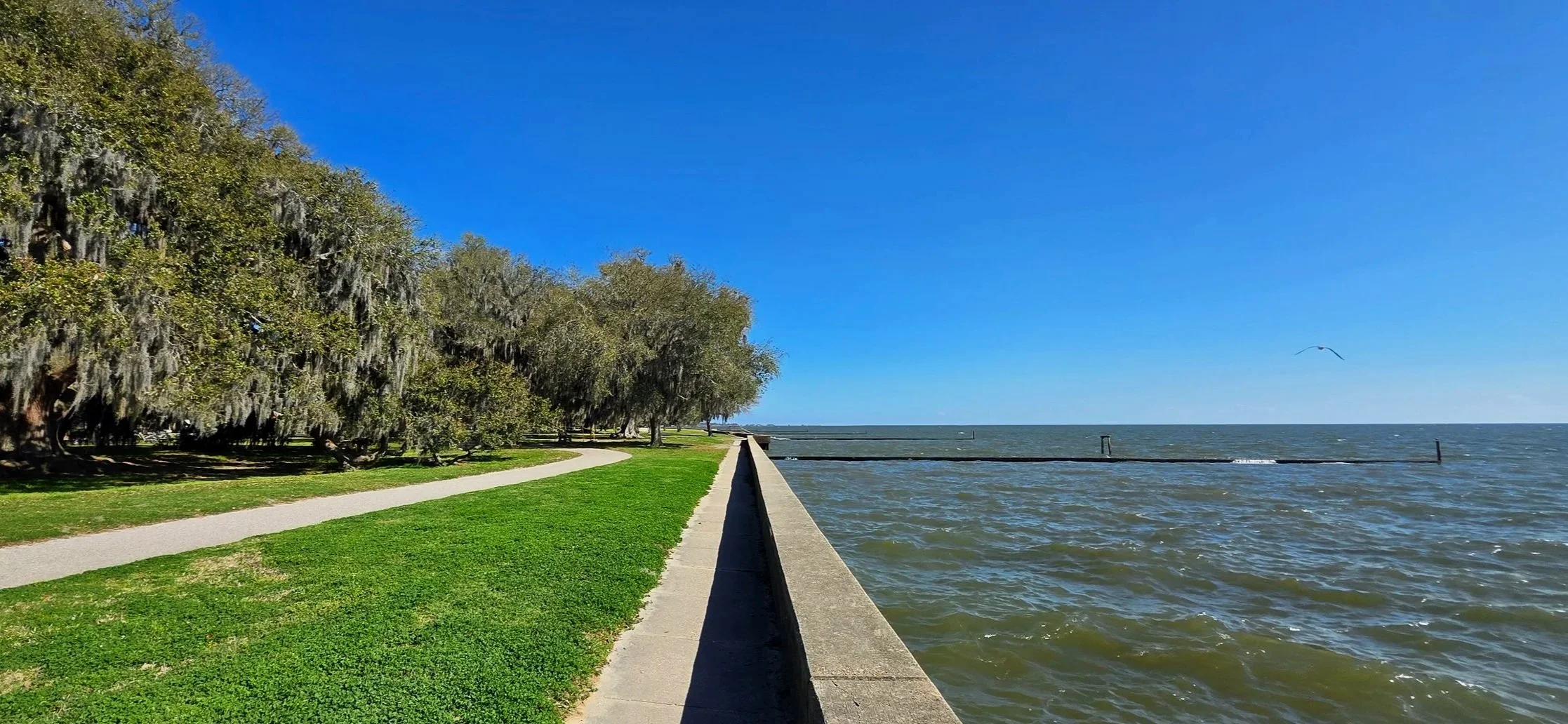 Making the most of a visit to The Northshore