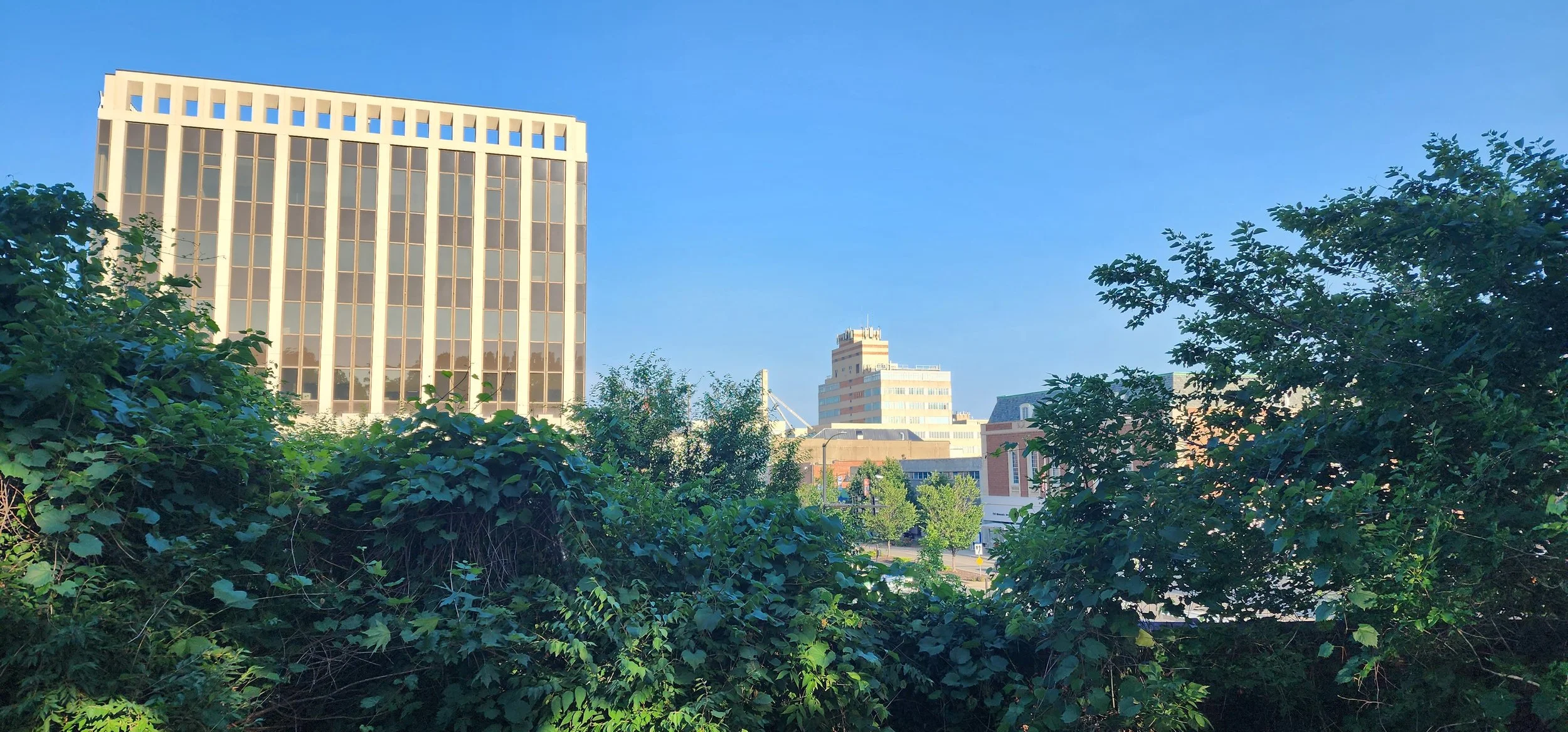 Tall buildings and trees making up the skyline of Kansas City Kansas
