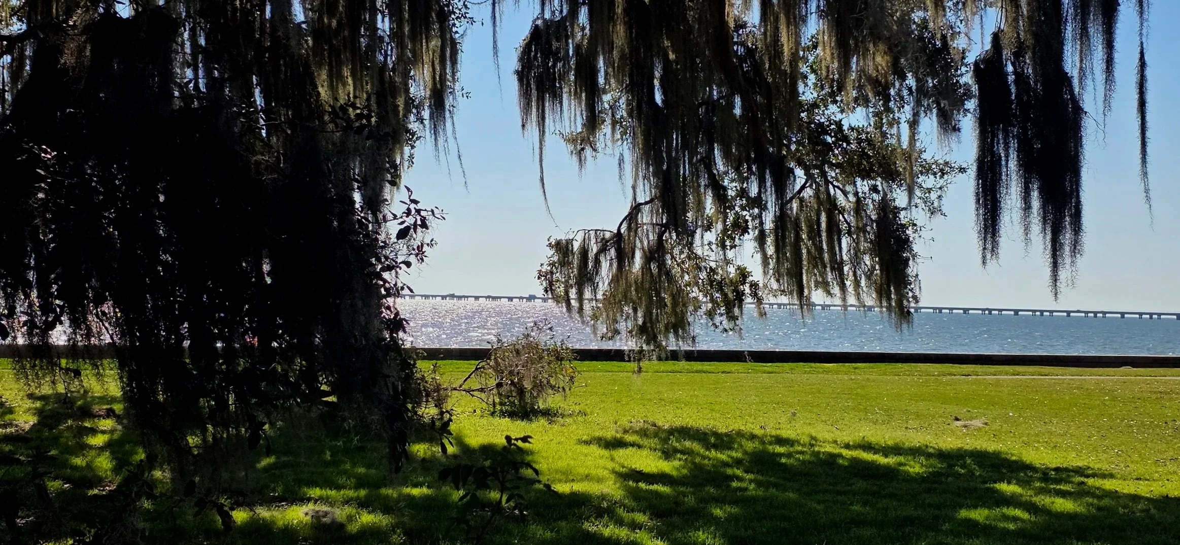 Moss draped live oak trees and grass in the foregrand with Lake Pontchartrain and the Causeway in the background