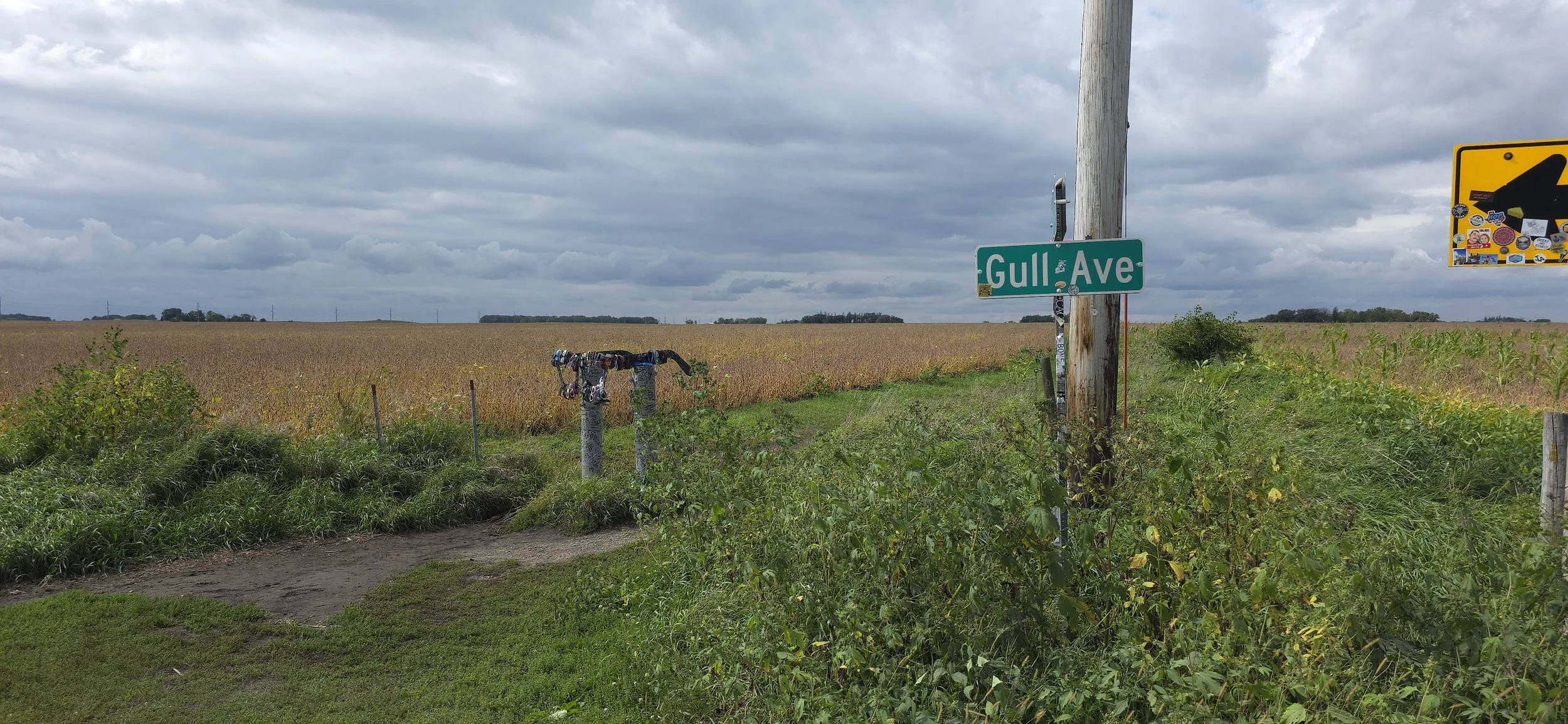 Gull Avenue and 315th Street Clear Lake IA