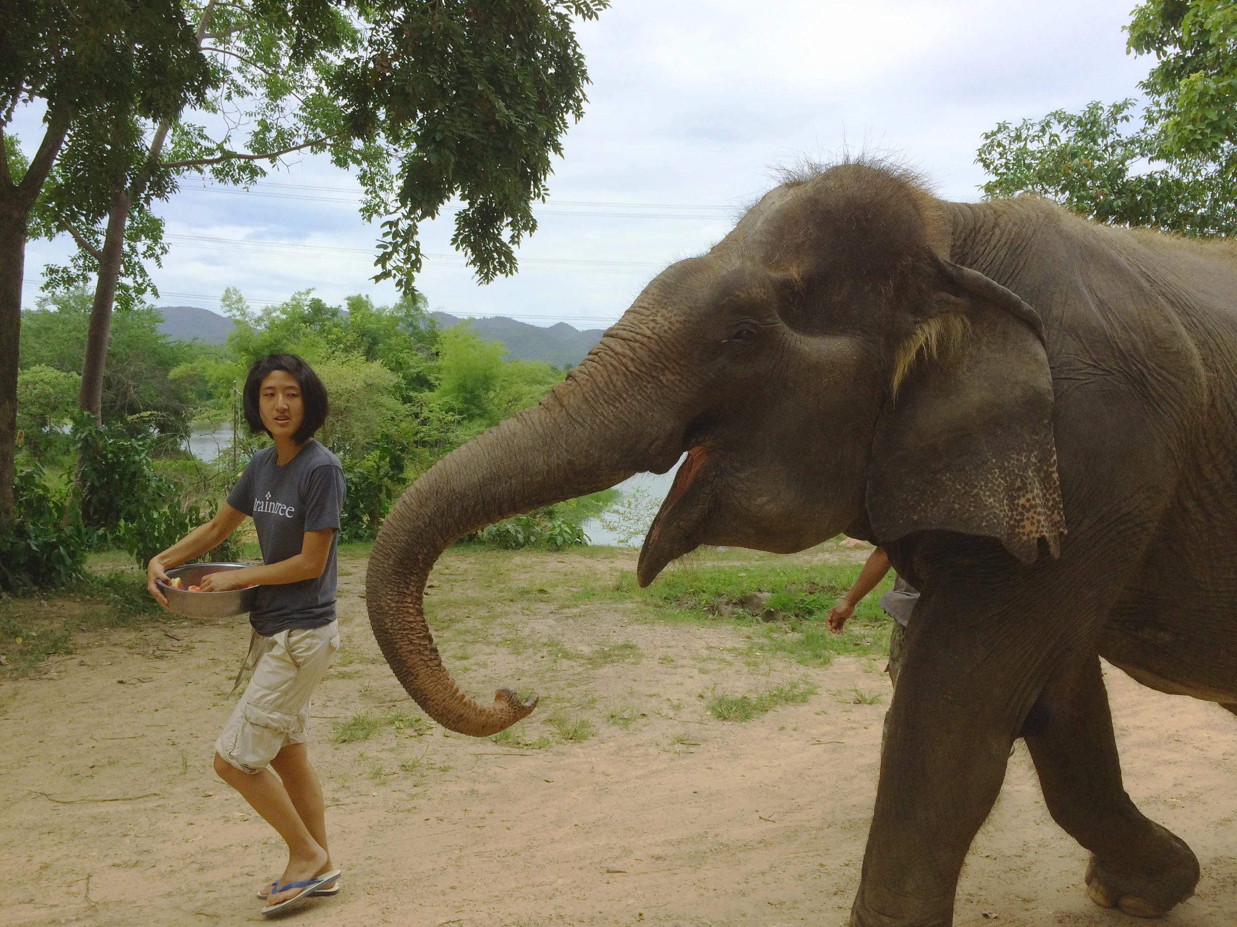 Daily walks and showers helped to keep the elephants happy and healthy and allowed us to interact closely with them. This was a great alternative to the abusive practice of elephant trekking.