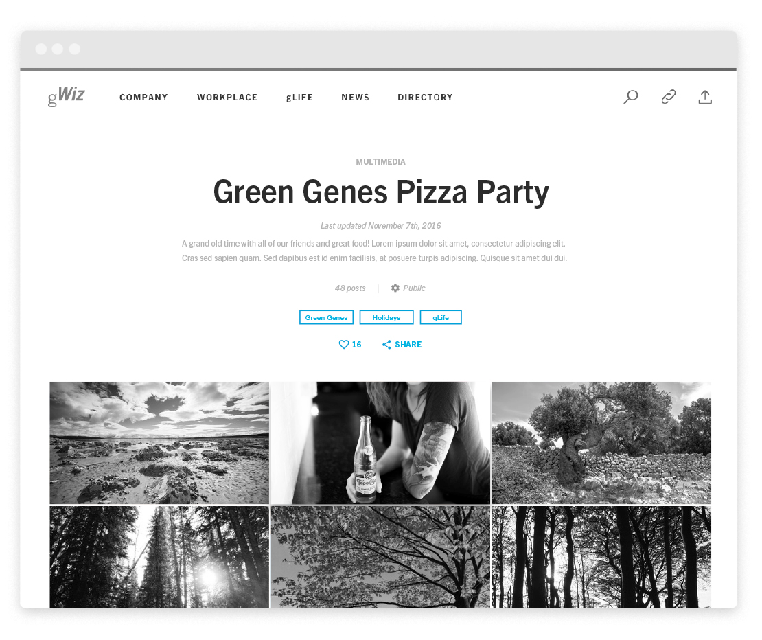 Album pages became bigger, more visual, and accommodated more types of descriptors.