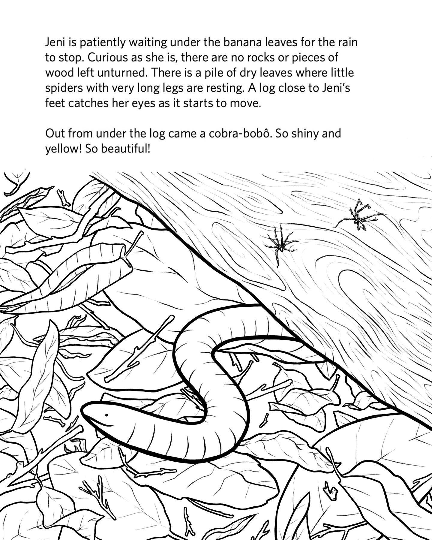 Recently had the pleasure of helping to illustrate a children&rsquo;s coloring book for @calacademy &lsquo;s Gulf of Guinea project. The coloring book will be distributed to communities in S&atilde;o Tom&eacute; and Pr&iacute;ncipe and features many 