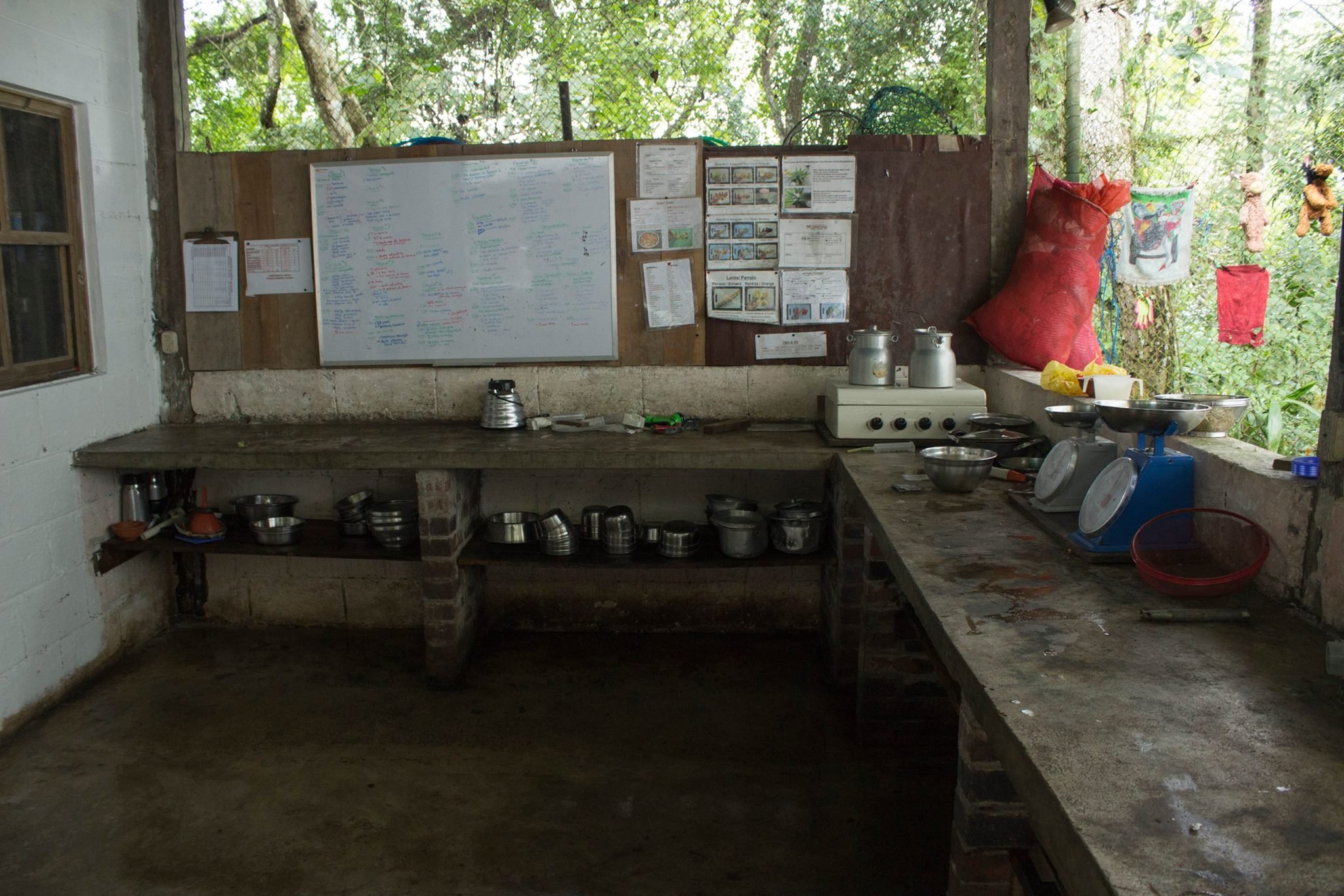  Food prep area where volunteers prepared meals for all the center’s animals every day. 