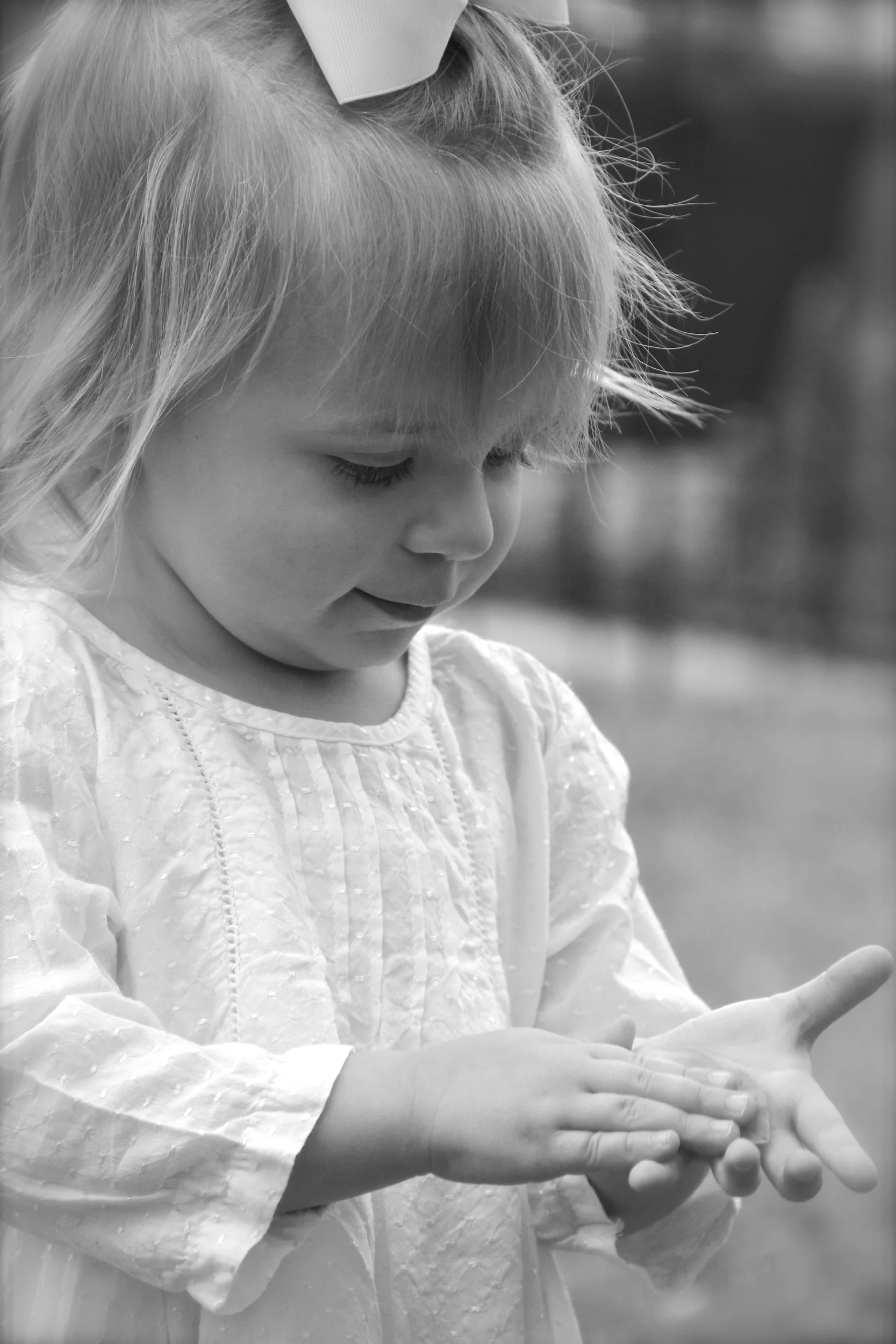 Maddie 2yr_Bud Franck_11.jpg
