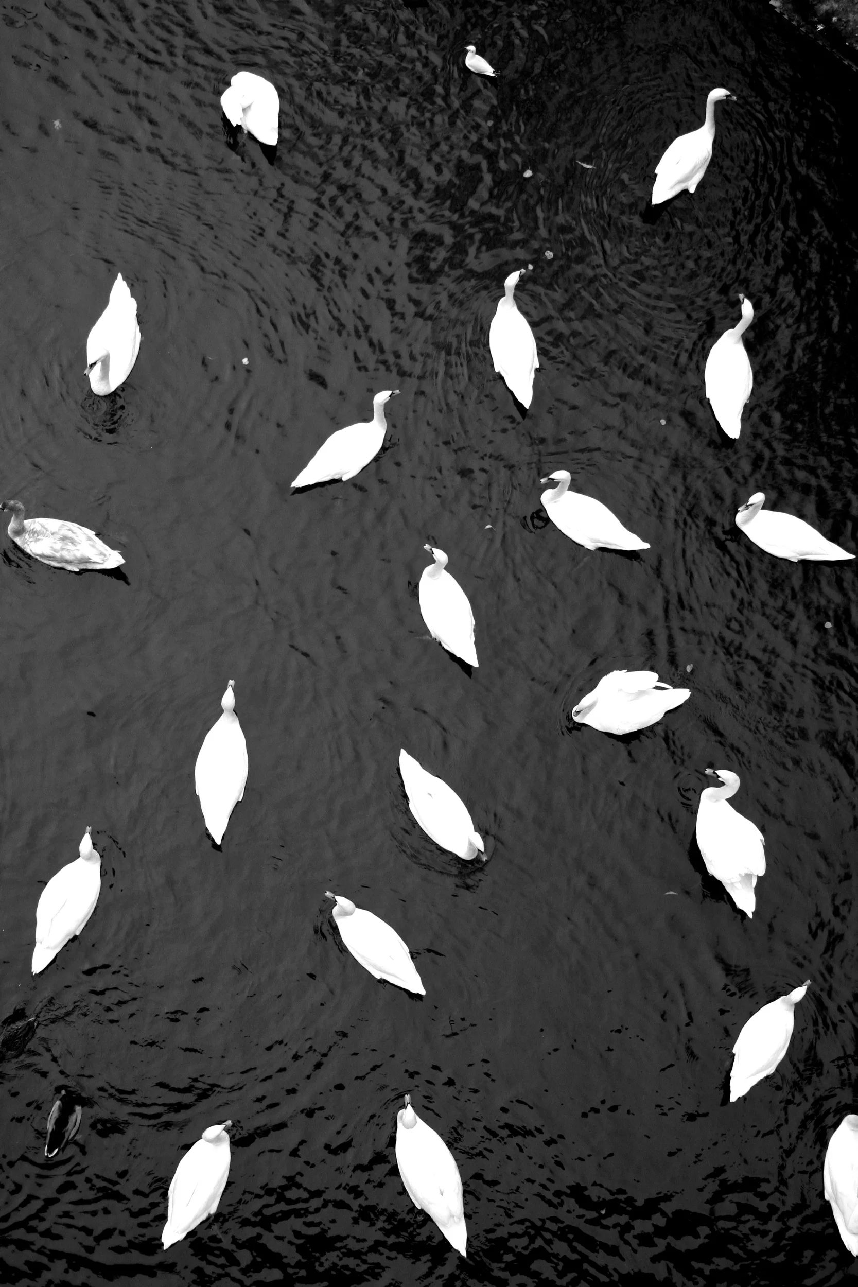 Prague_Bud Franck_10.jpg