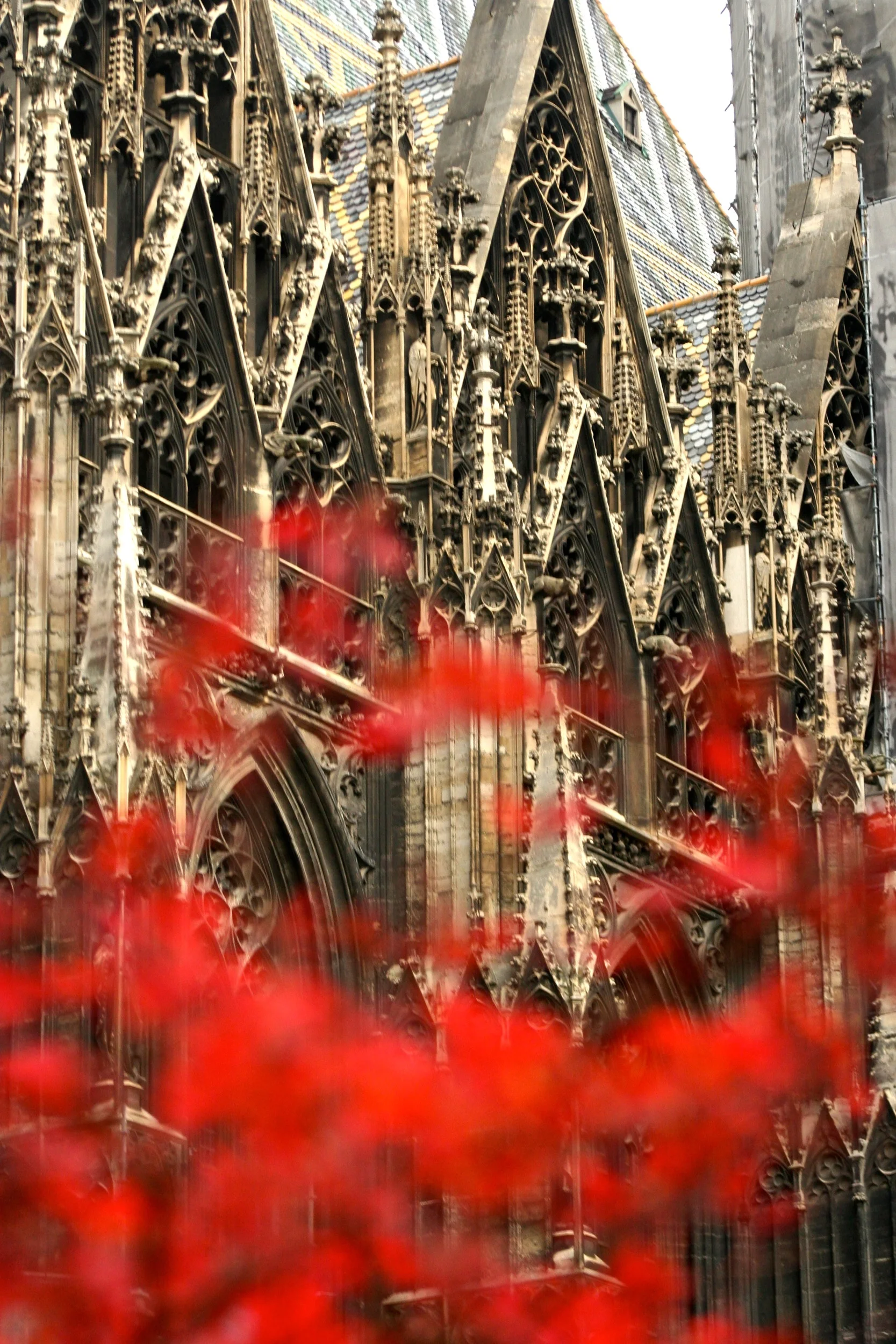 Vienna_Bud Franck_07.jpg