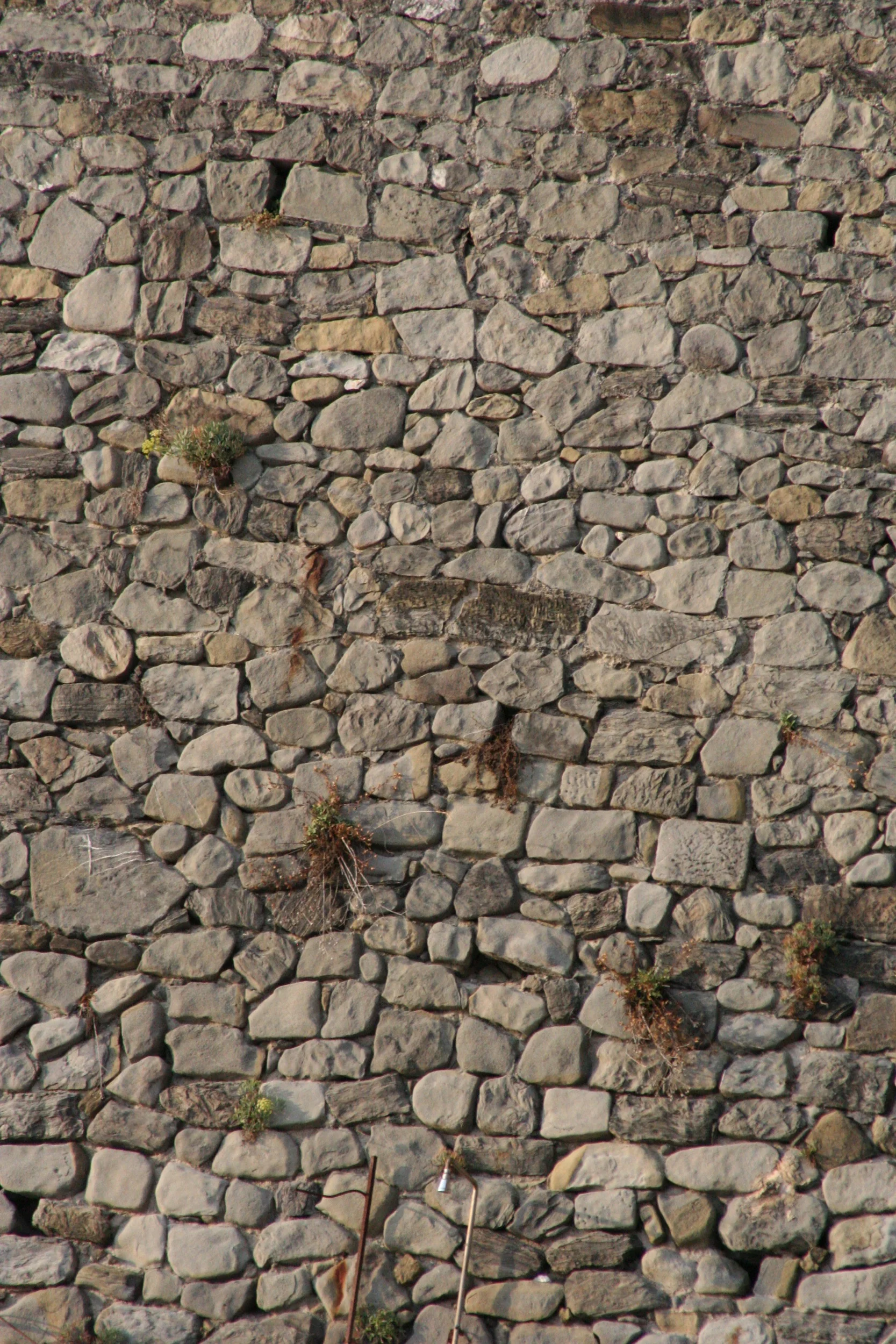 Italy_Bud Franck_43.jpg