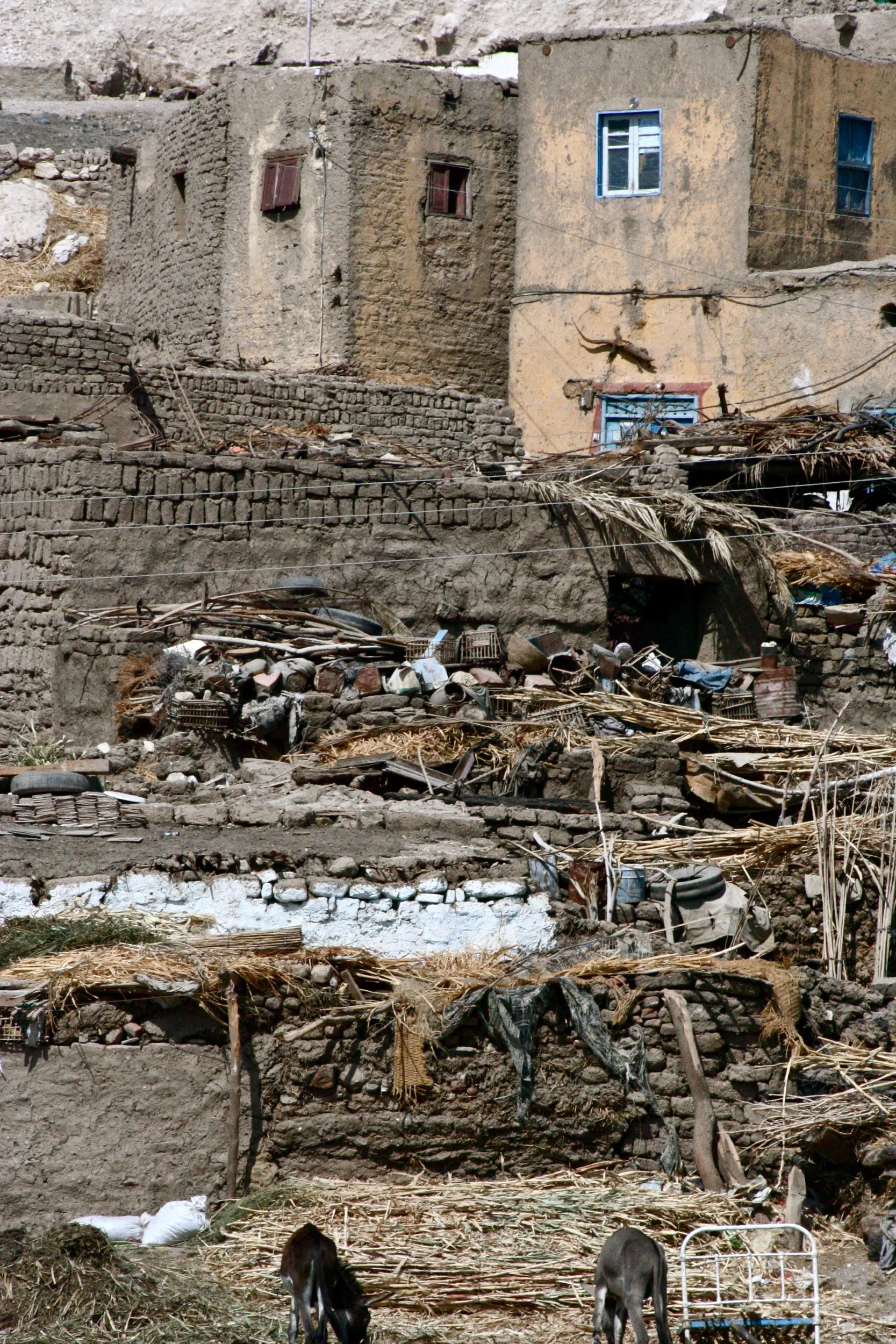 Egypt_Bud Franck_32.jpg