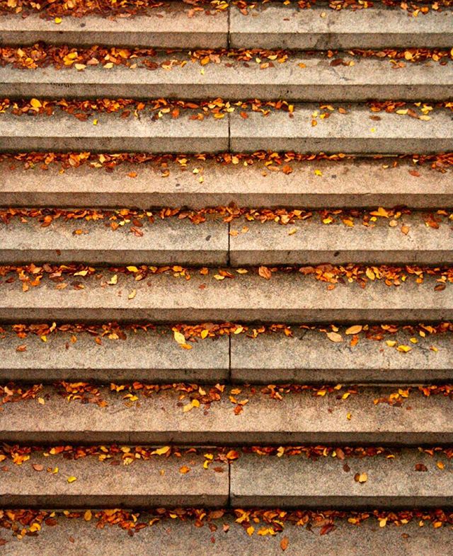 Leaves on the steps to Bethesda Terrace #centralparkmoments #NYC #iloveny #instagramnyc #seeyourcity