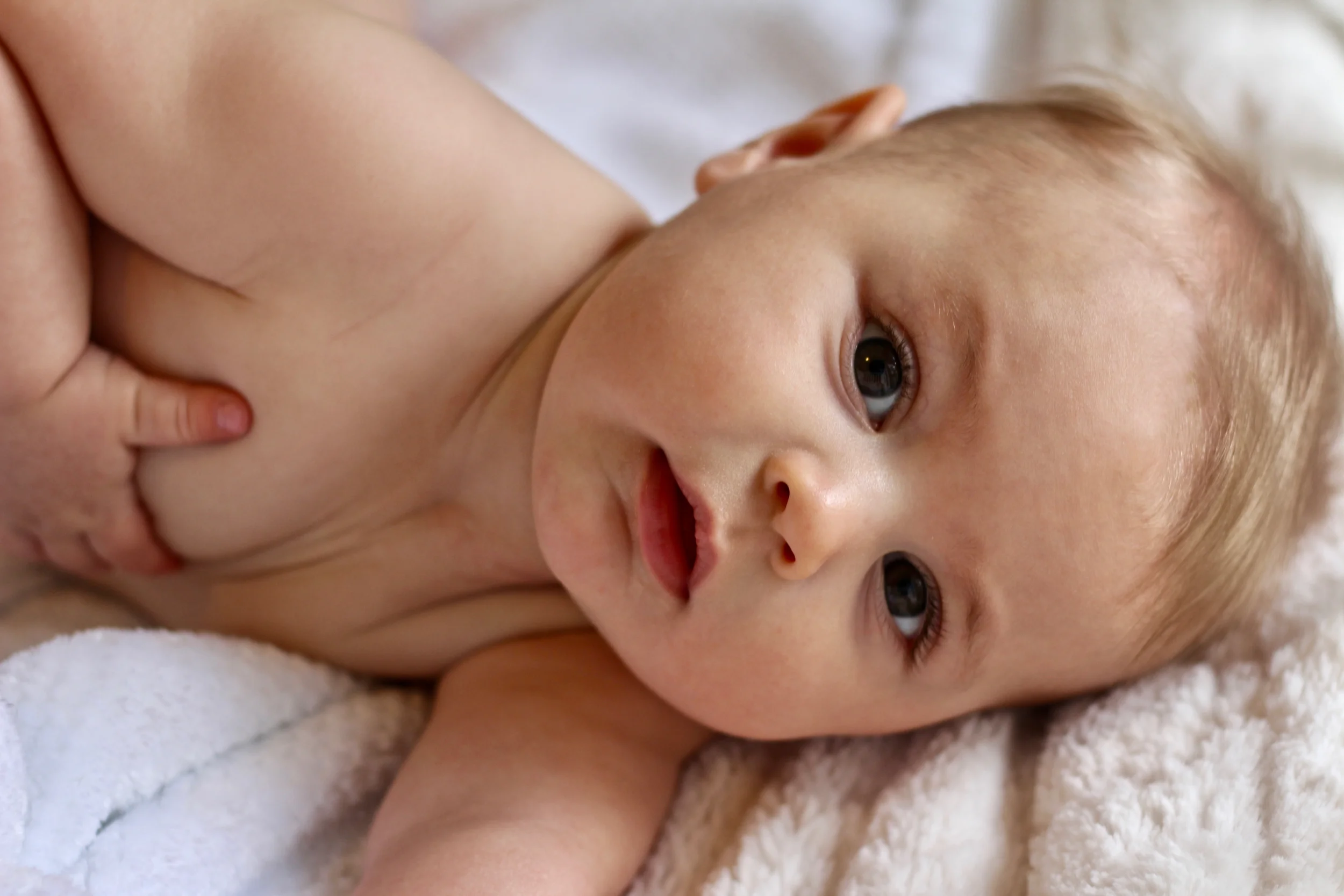 Bruce_6mos_Bud Franck - 4.jpg