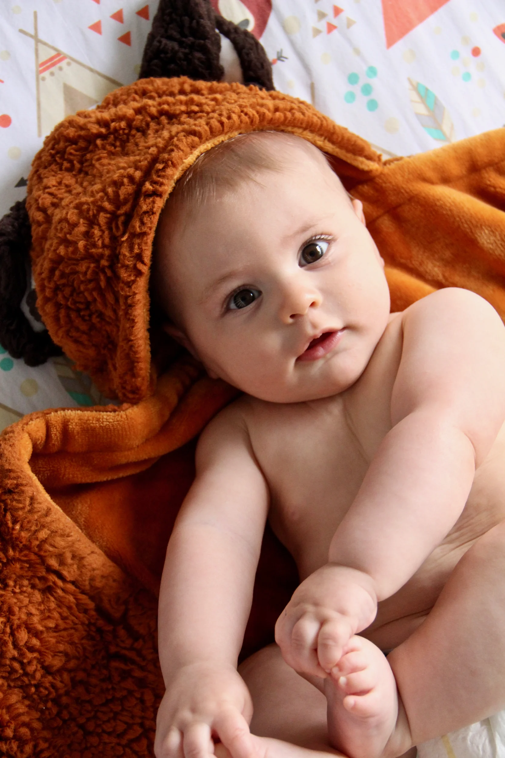 Bruce_6mos_Bud Franck - 8.jpg