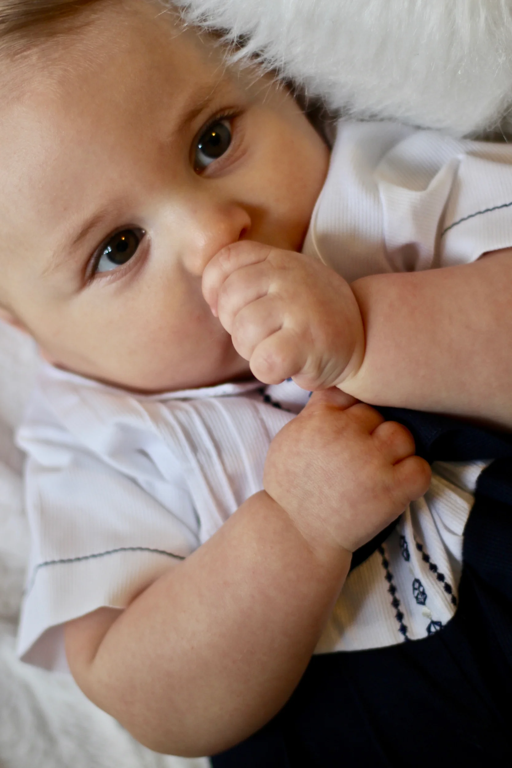 Bruce_6mos_Bud Franck - 11.jpg