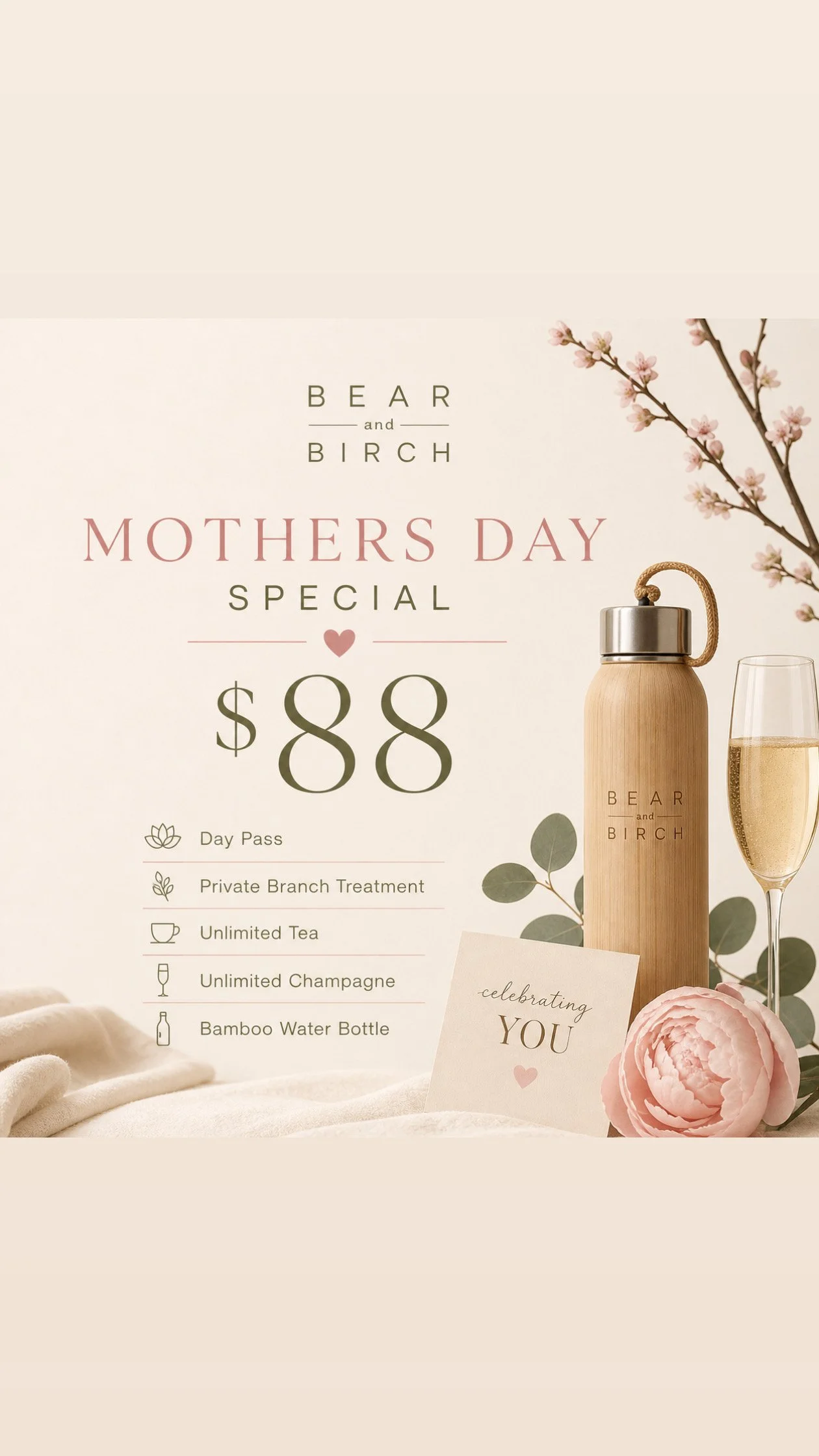 MOTHER’S DAY STEAM STEAL