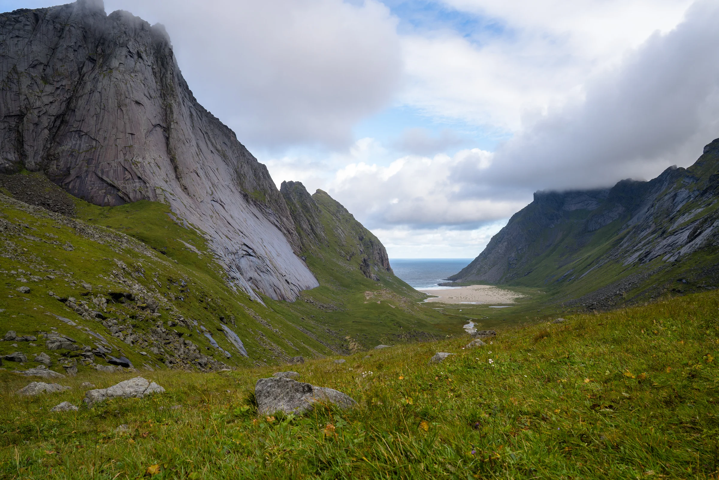 _DSC6684.jpg
