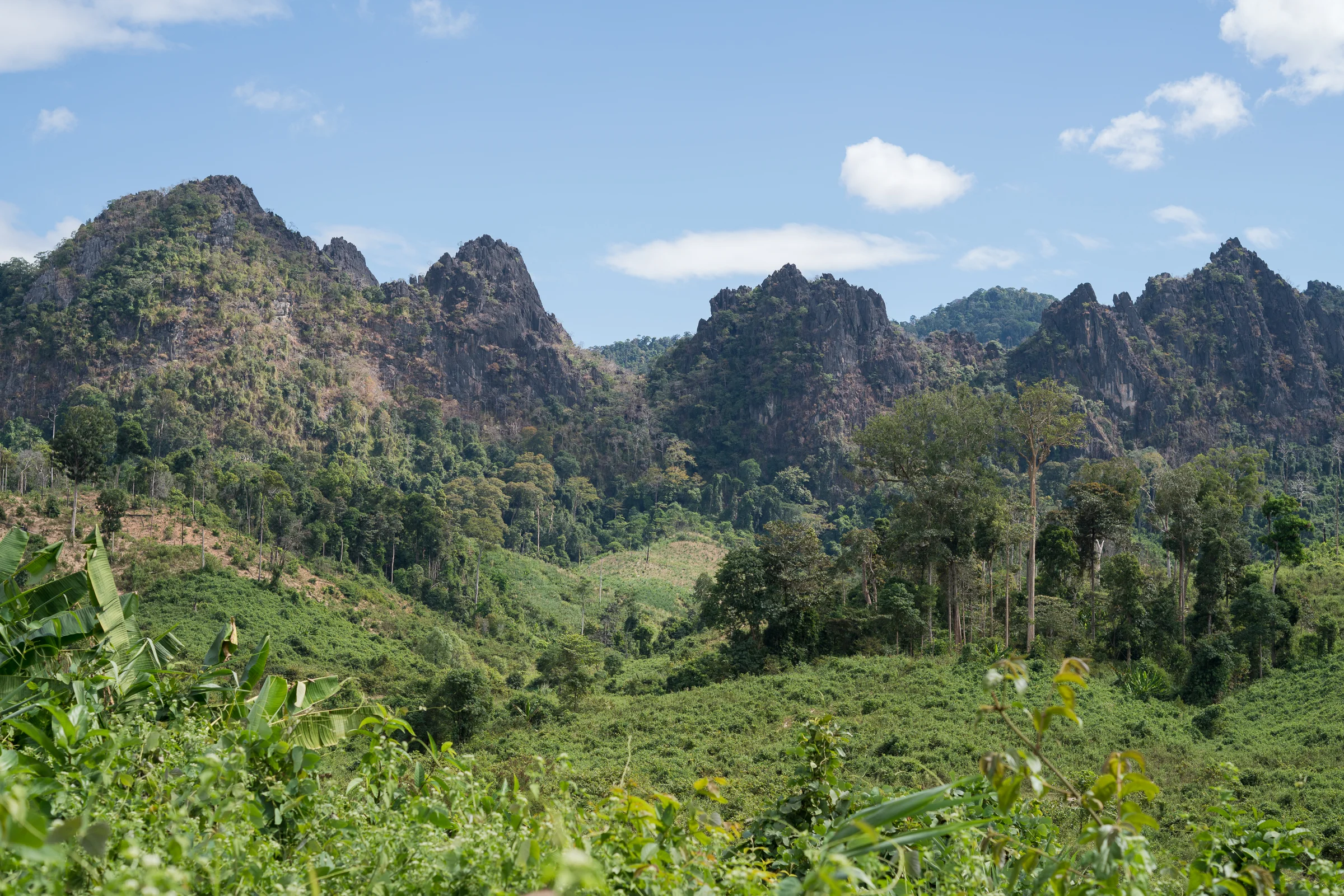 _DSC7556.jpg
