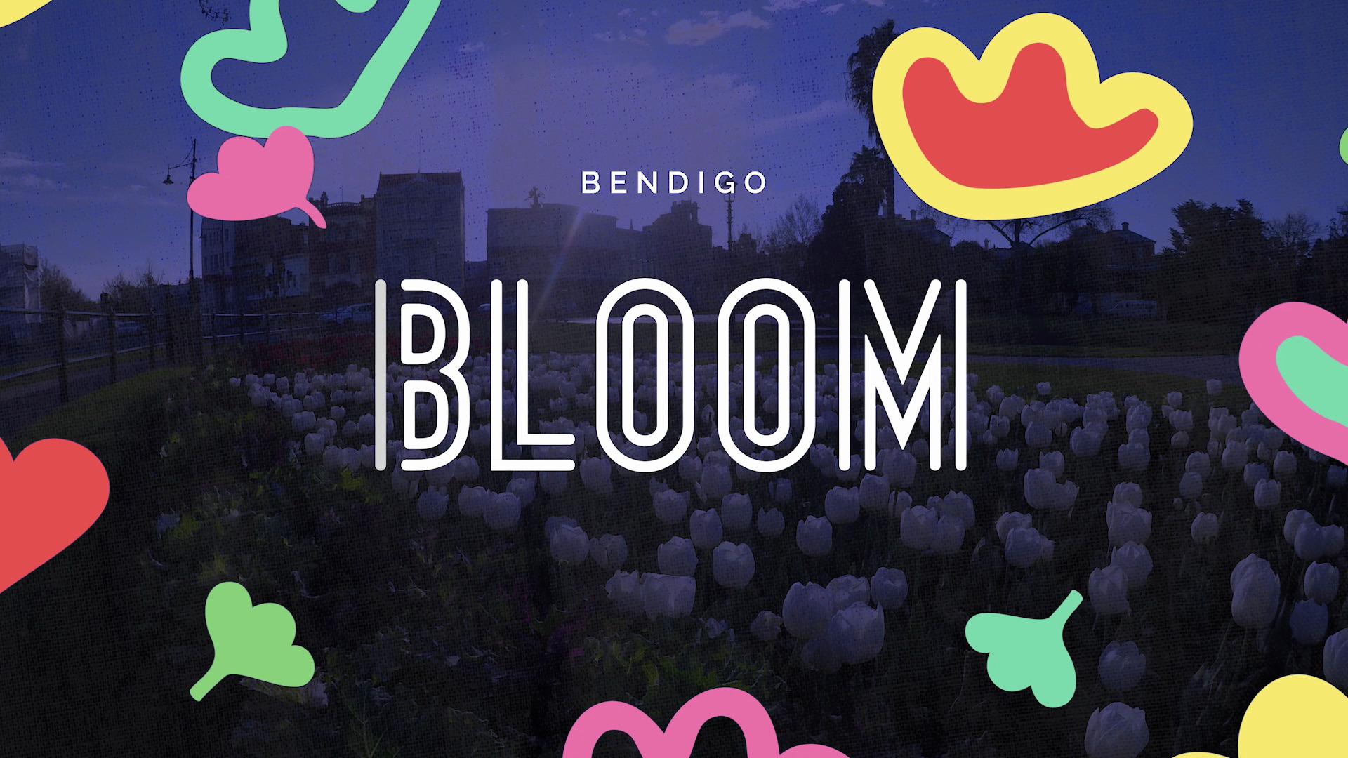 Bendigo Bloom - Online Campaign