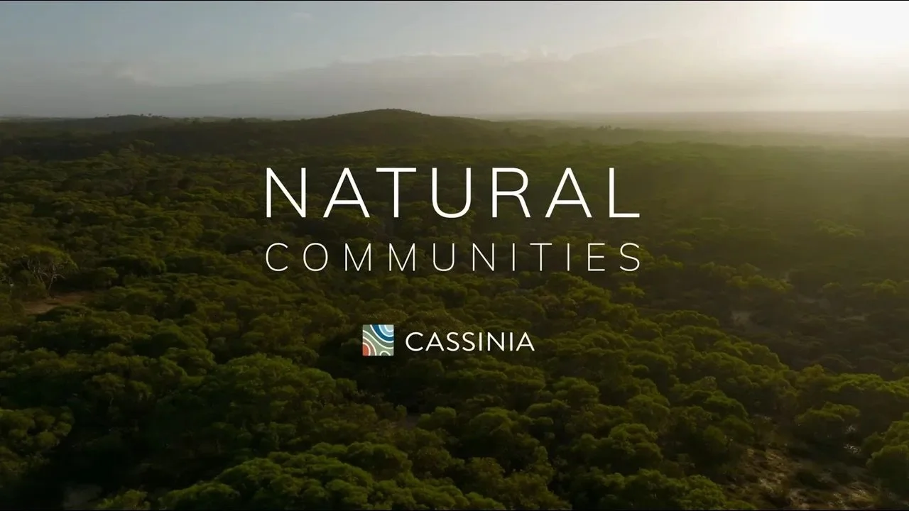 Natural Communities - Brand Film