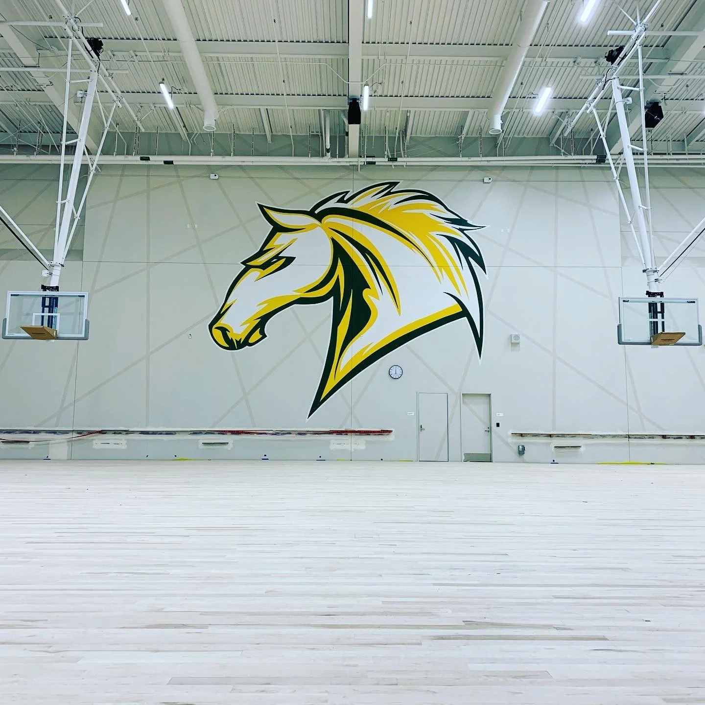 2A7AD80E-53D8-42BB-A7BC-5EEB5E99C510 (1).JPG