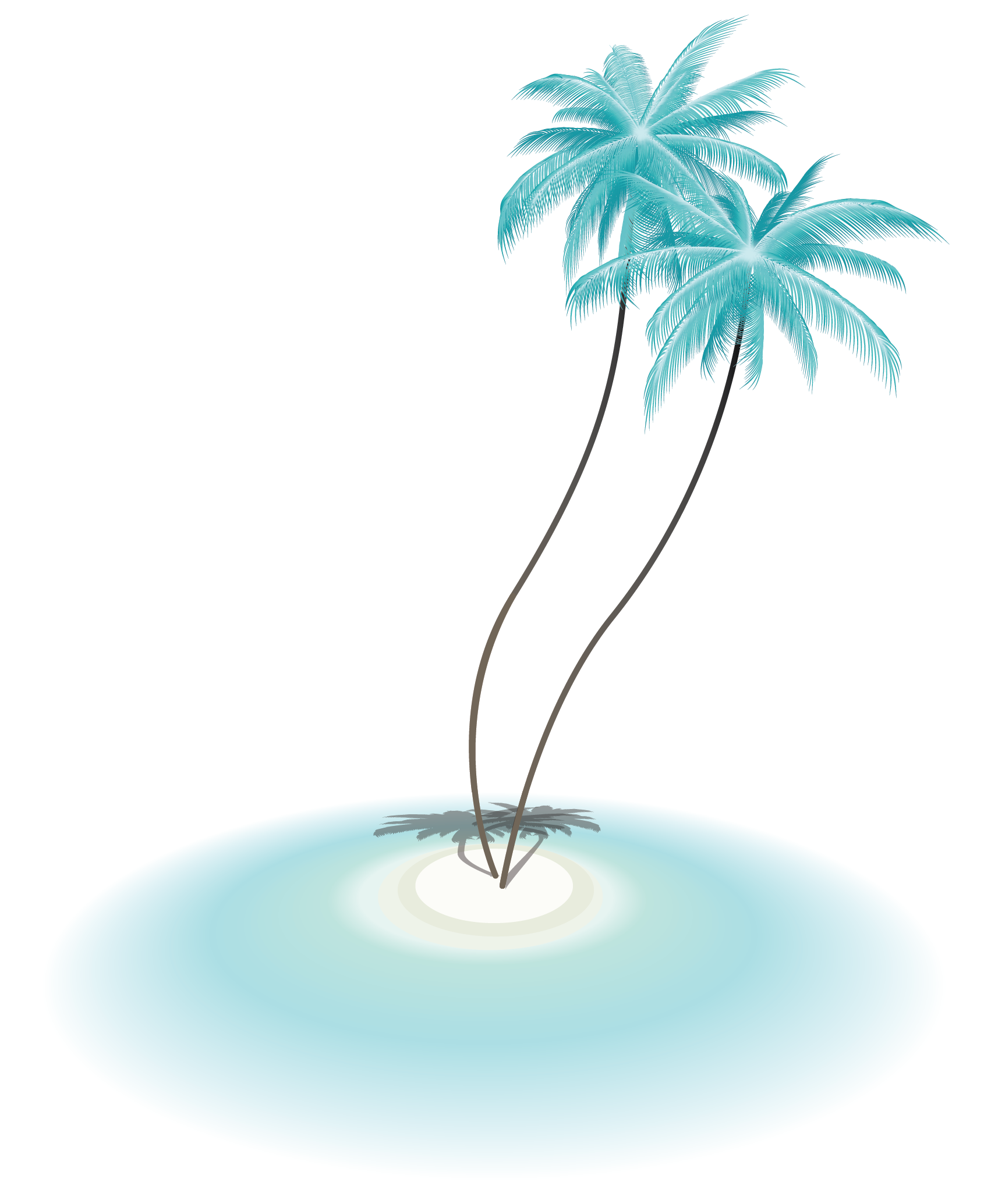 palms low res-03.png