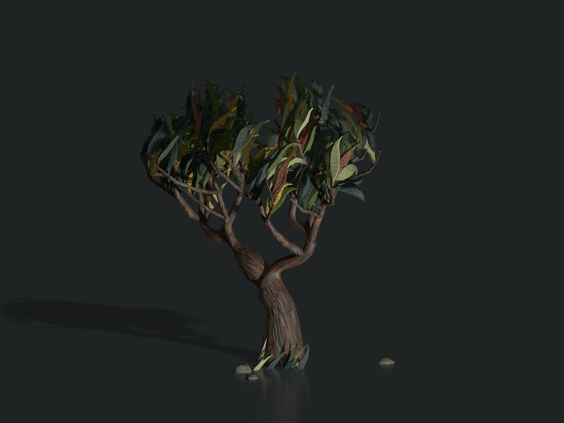 plants_saint_remy_tree1304.png