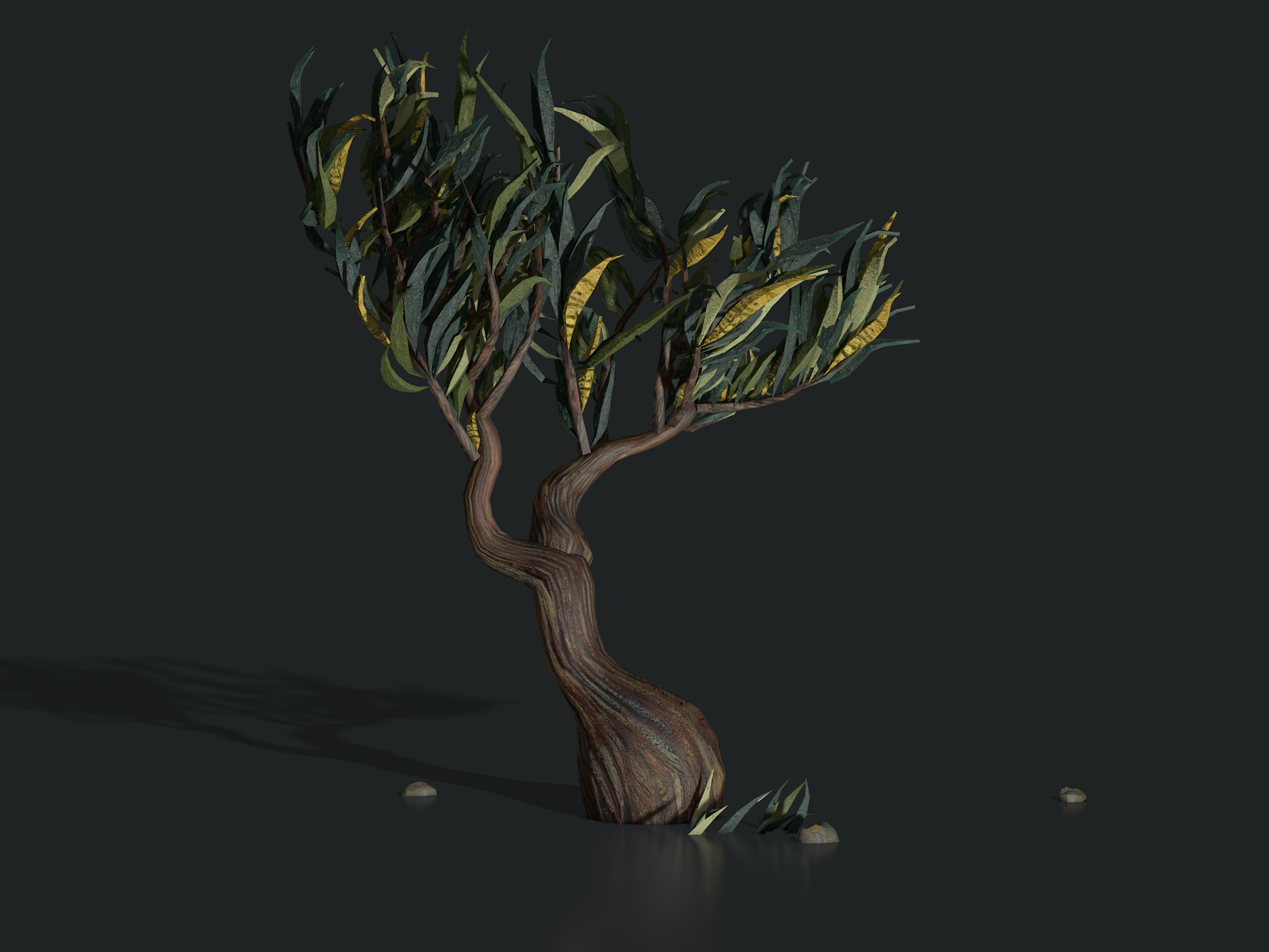 plants_saint_remy_tree1305.png